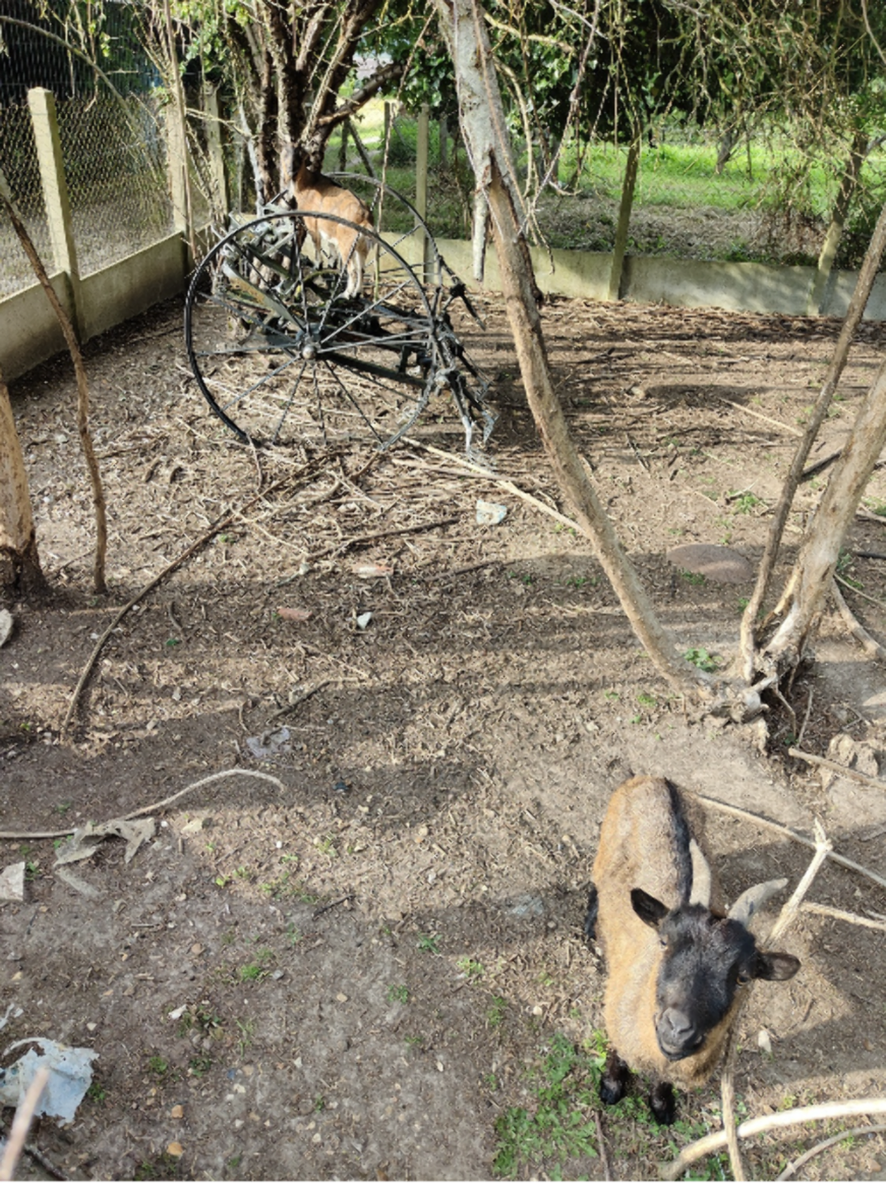 Randonnée Villers-sur-le-Roule - Bois de Tournebut et petite grotte cachée dans la forêt