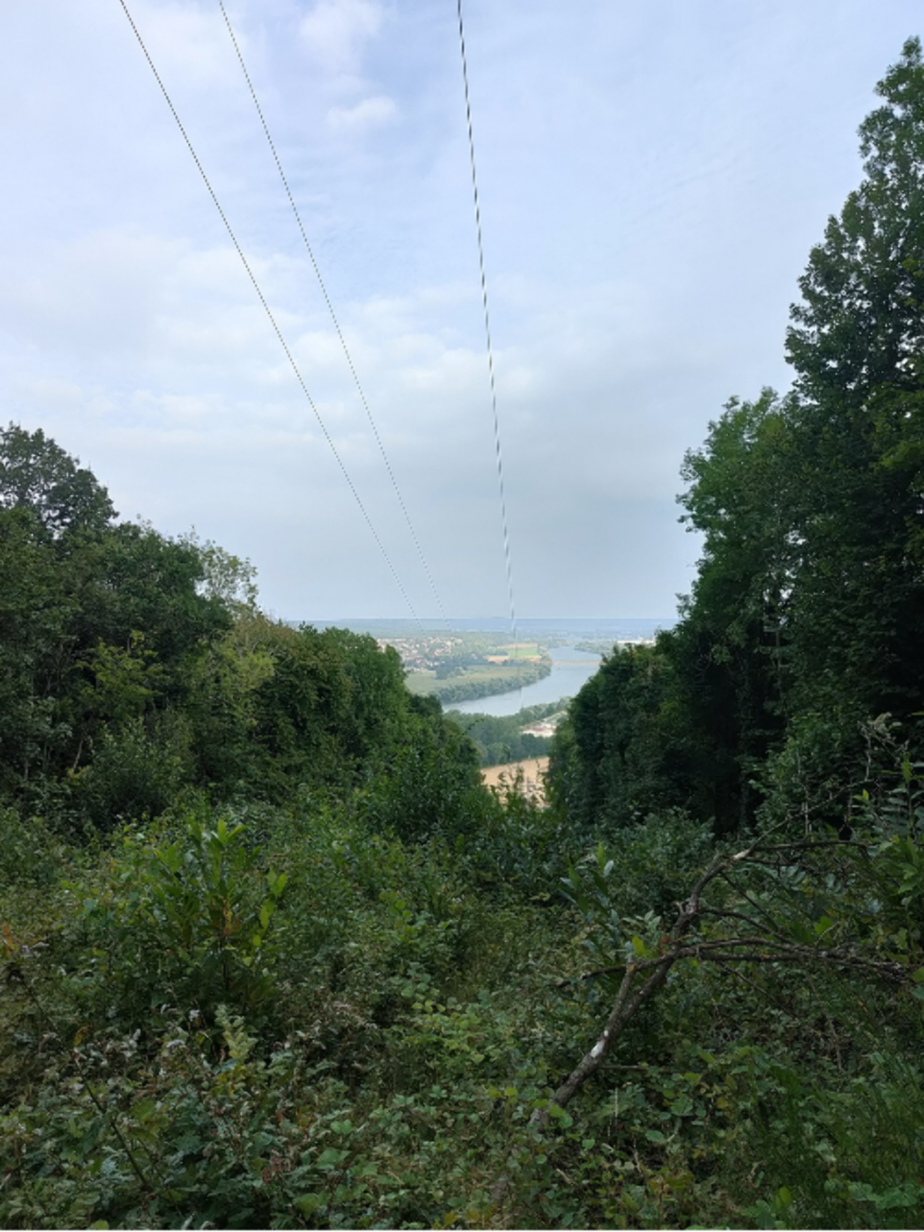 Randonnée Villers-sur-le-Roule - Bois de Tournebut et petite grotte cachée dans la forêt