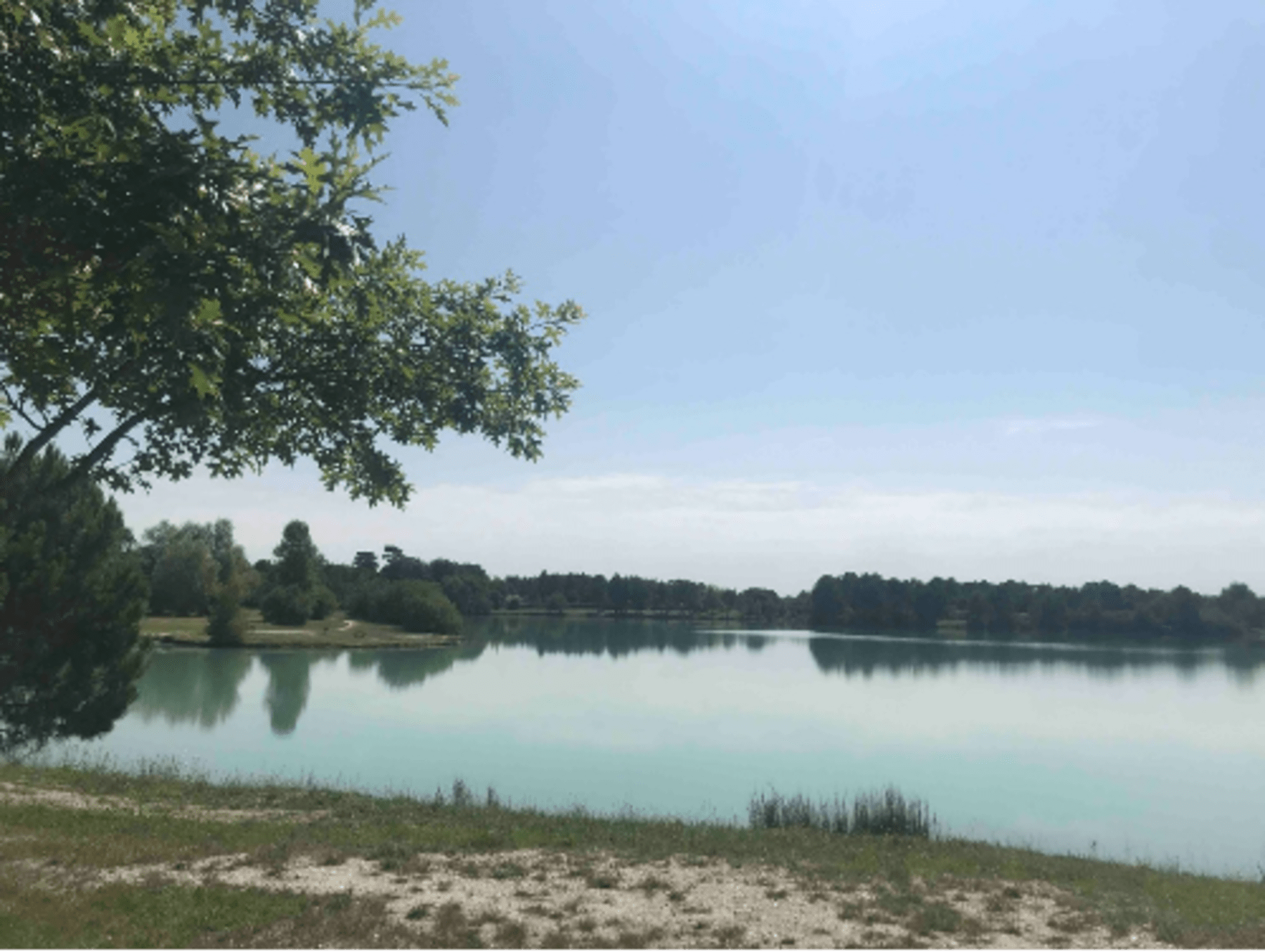 Randonnée Avensan - Etangs du Médoc et rencontres discrètes