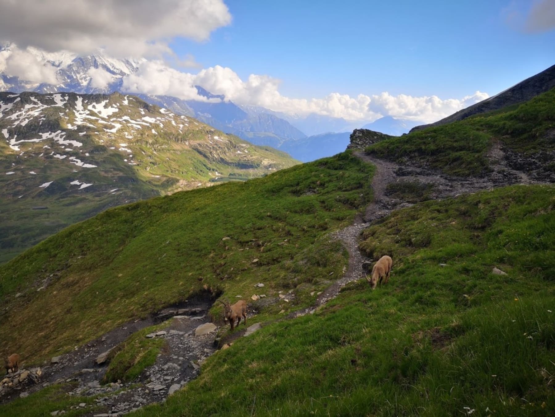 Randonnée Passy - Trek et bière face au Mont-Blanc, entre lacs et montagnes