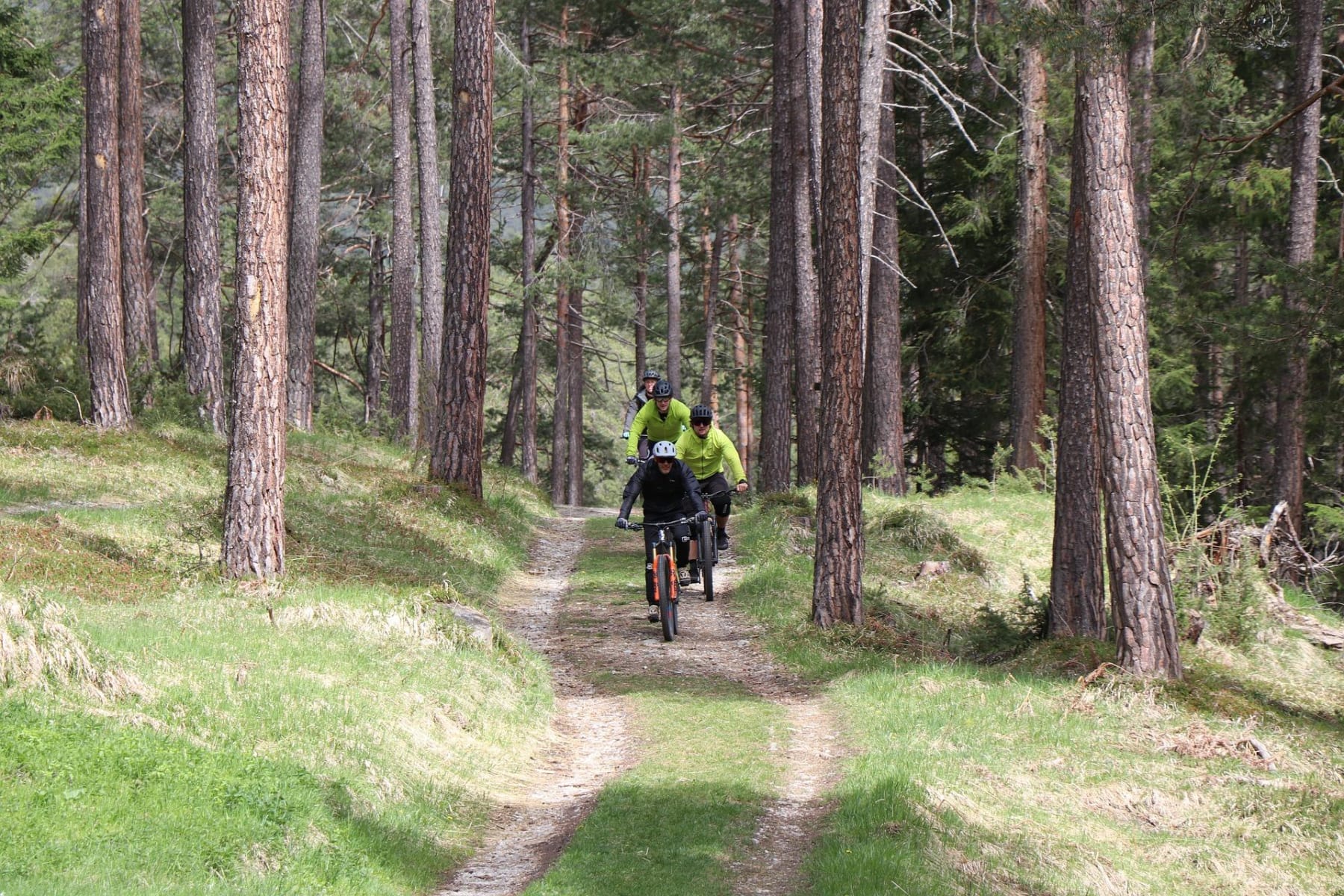 Randonnée Saint-Sauveur-Camprieu - Virée à VTT dans le Parc des Cévennes et depuis Camprieu