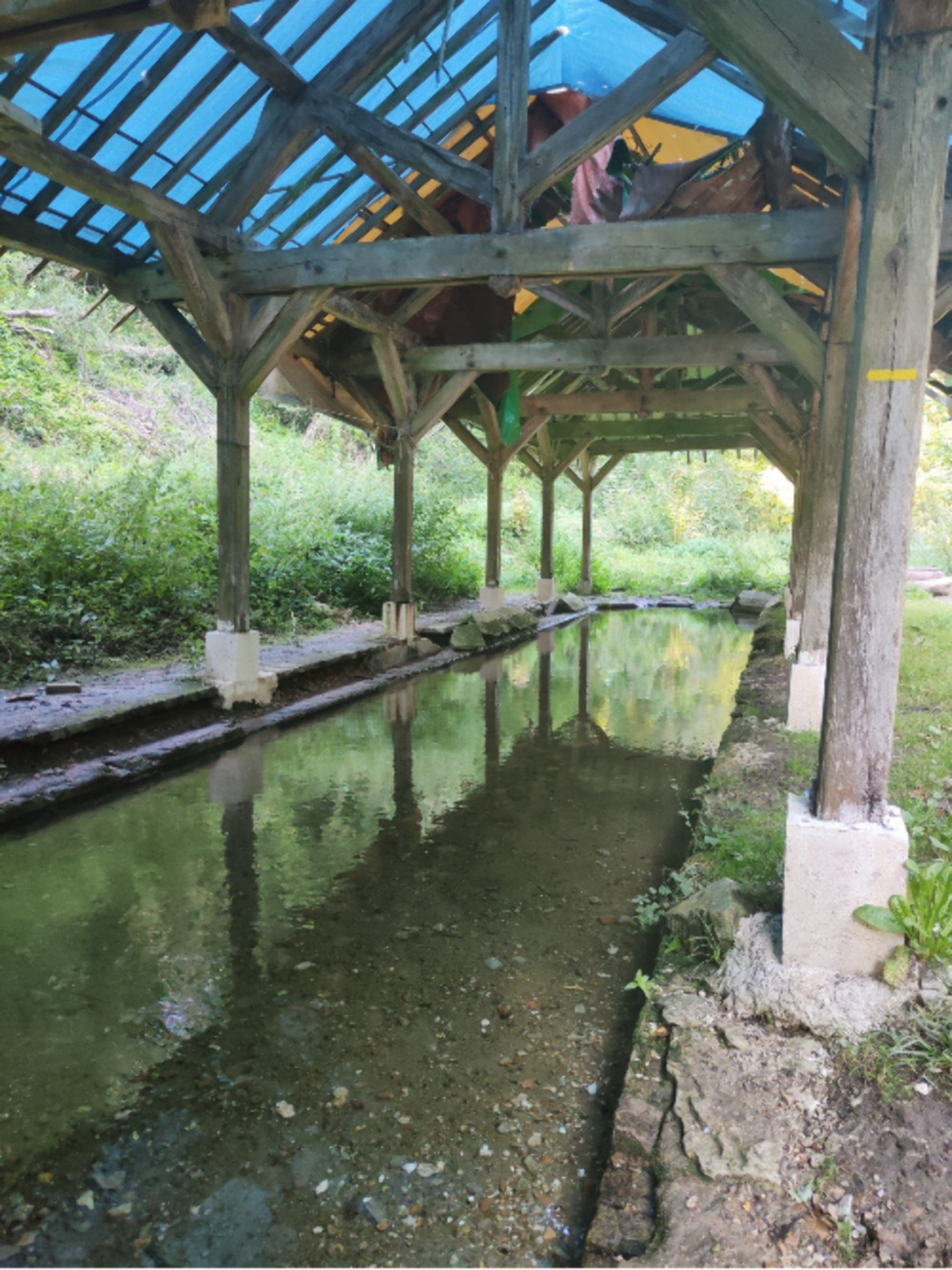 Randonnée Les Andelys - Belles vues sur La Seine et Les Andelys par le GR® 2