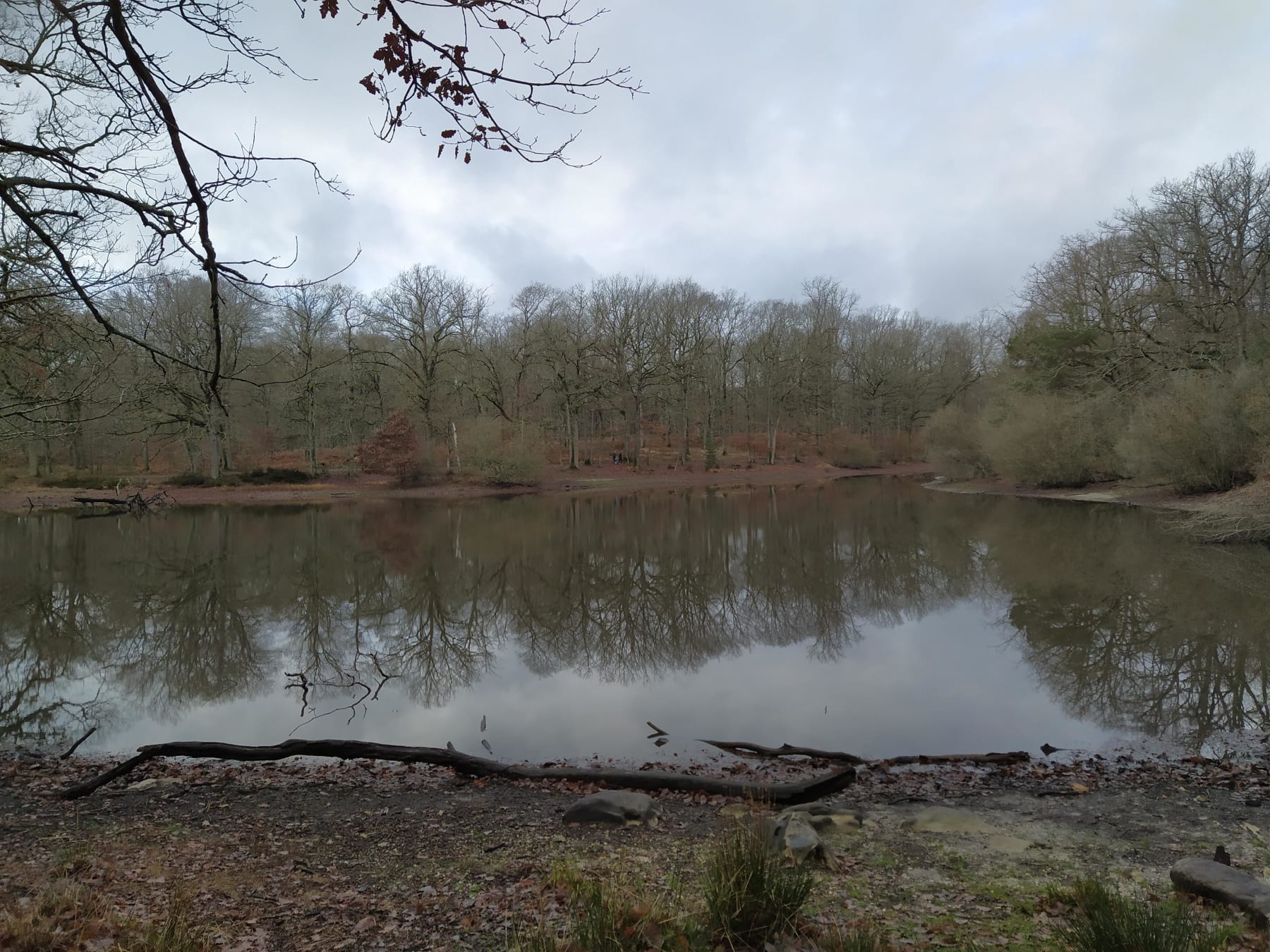 Randonnée Poigny-la-Forêt - Moment de paix et bain d'air pur à Poigny-la-Forêt