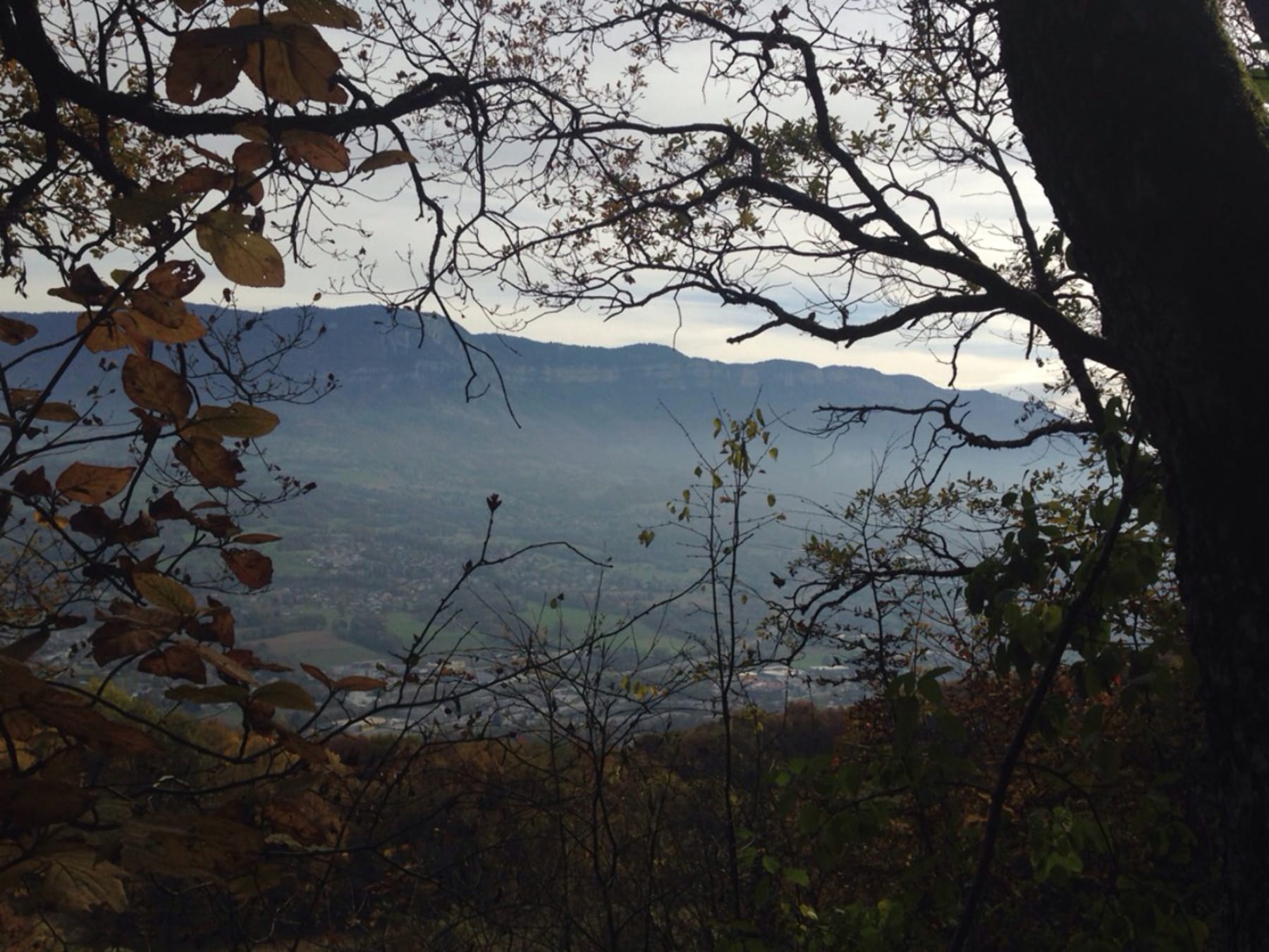 Randonnée Brison-Saint-Innocent - Grottes des Fées et mystère de la Dent du Chat au loin