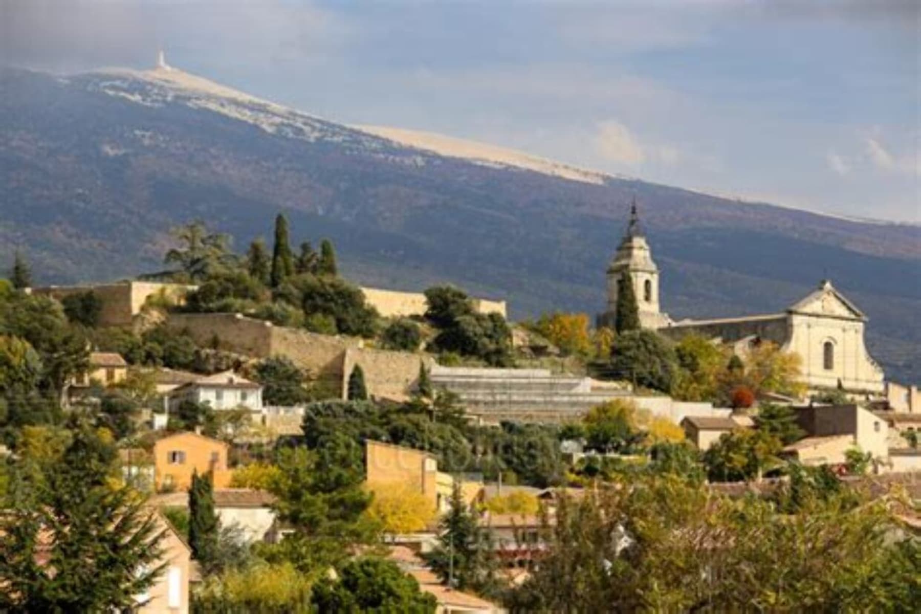 Randonnée Bédoin - A la découverte du géant de Provence et à VTT depuis Bédoin