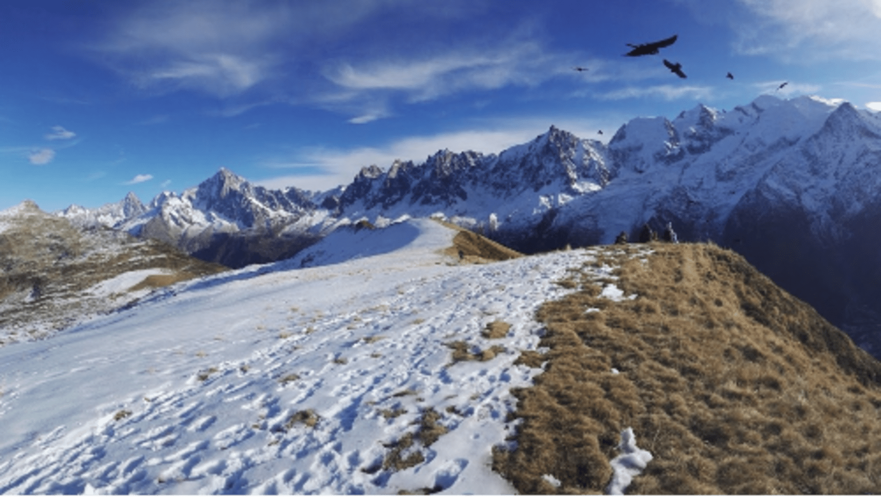 Randonnée Les Houches - Aiguillette des Houches par le refuge et le col de Bellachat