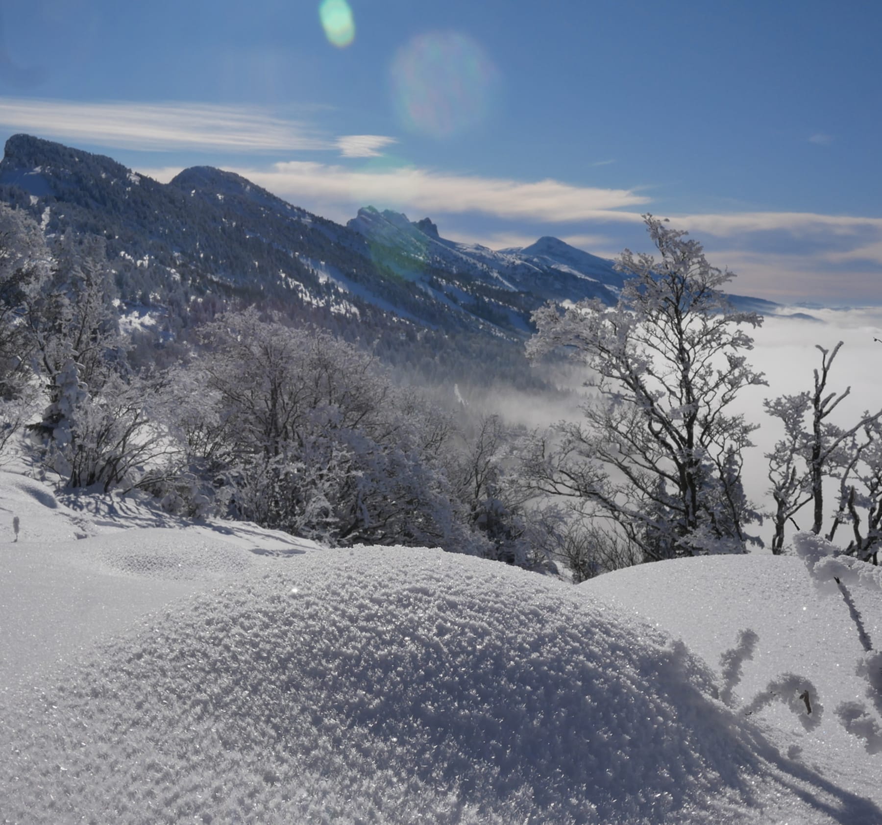 Randonnée Lans-en-Vercors - Randonnée hivernale aux Ramées et beauté givrée