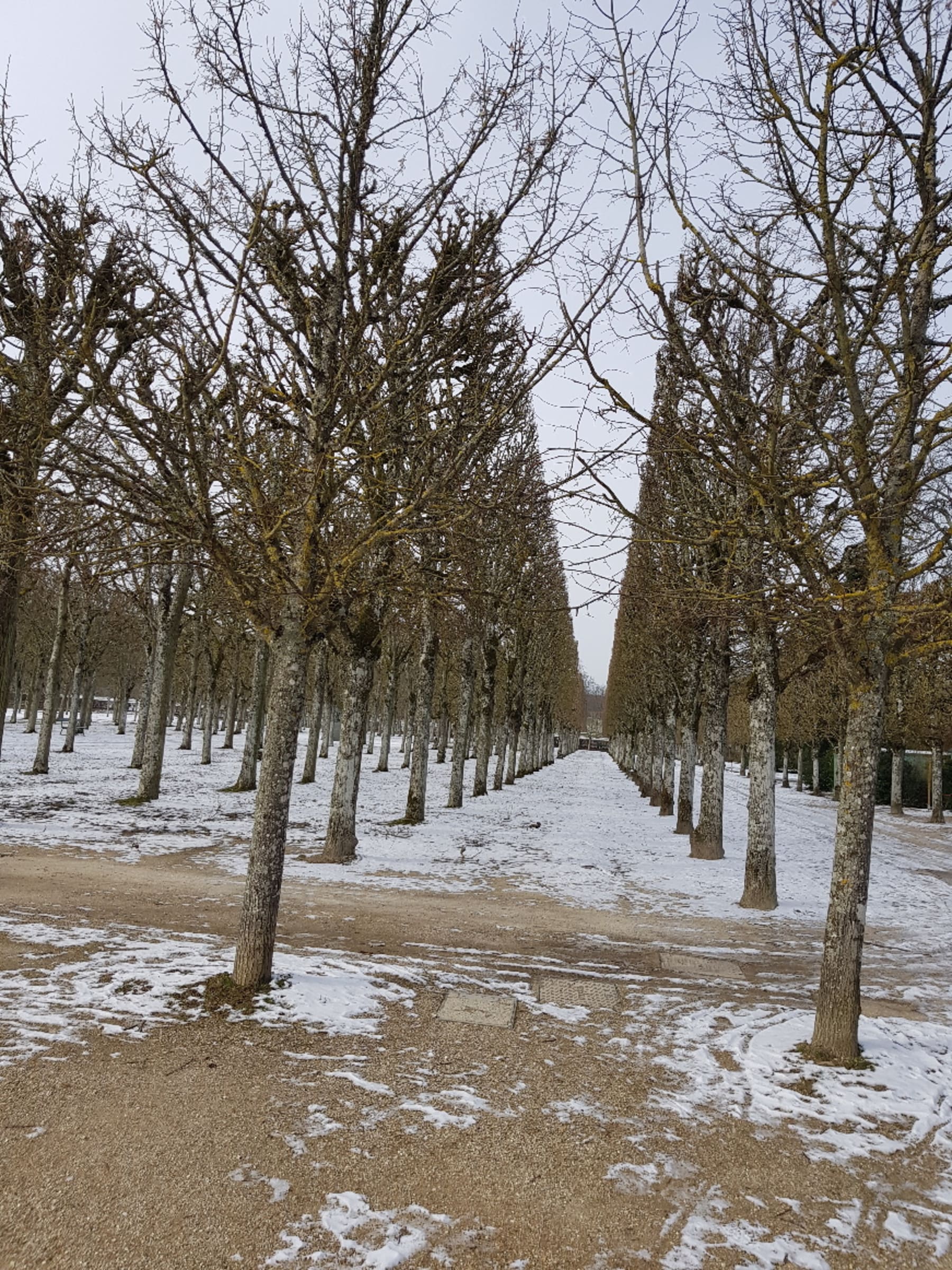 Randonnée Chartres - Petite balade autour de Chartres