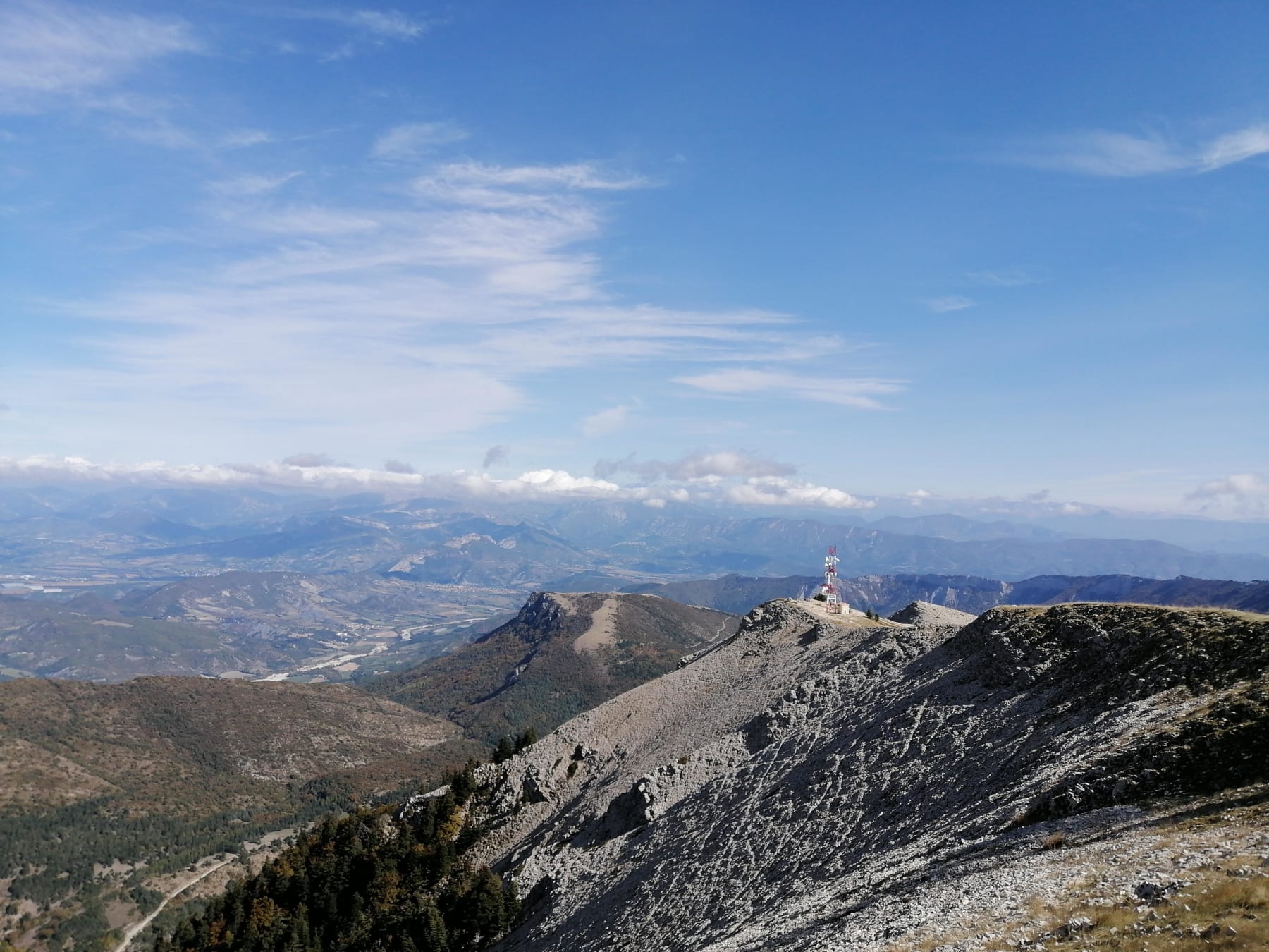 Randonnée Saint-Étienne-les-Orgues - Montagne de Lure et cueillette sauvage