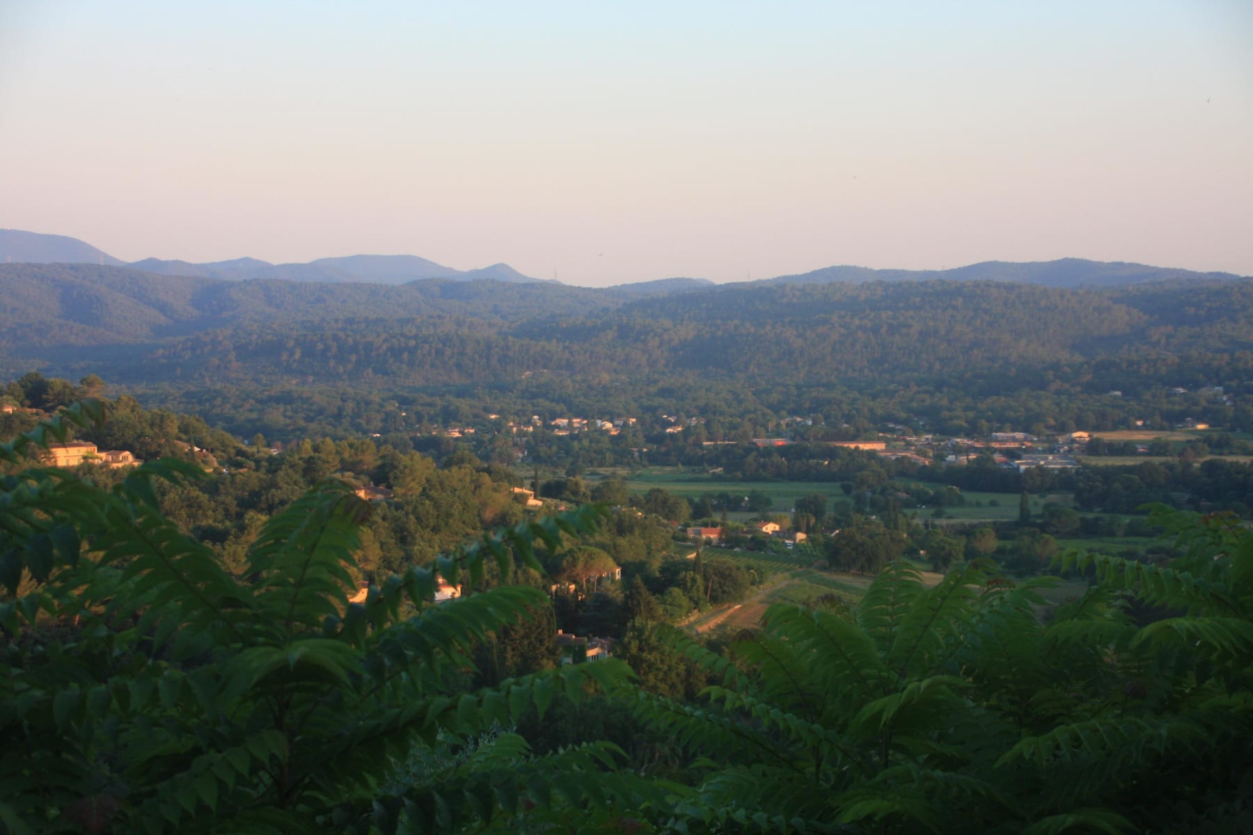 Randonnée Montauroux - Nature en folie au cœur de la réserve biologique de Fondurane