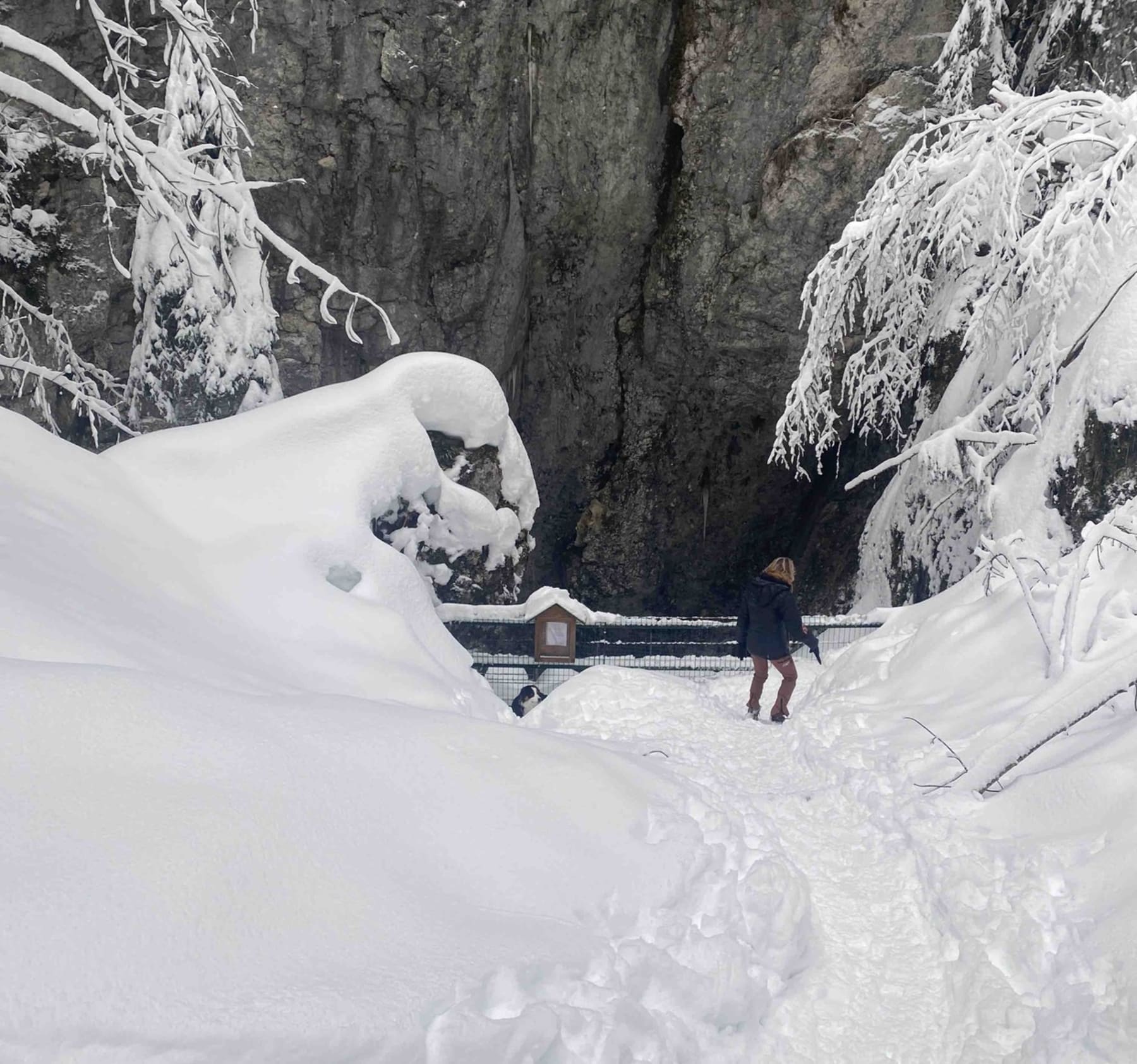 Randonnée Villard-de-Lans - Les pépites de Correncon en Vercors