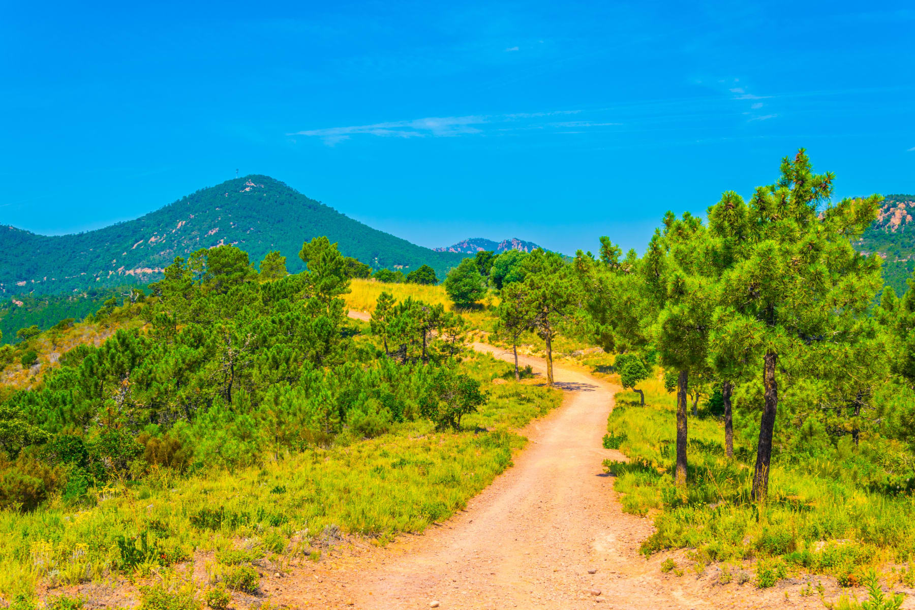 Randonnée Fréjus - Arrière-pays de Saint-Raphaël et beautés essentielles