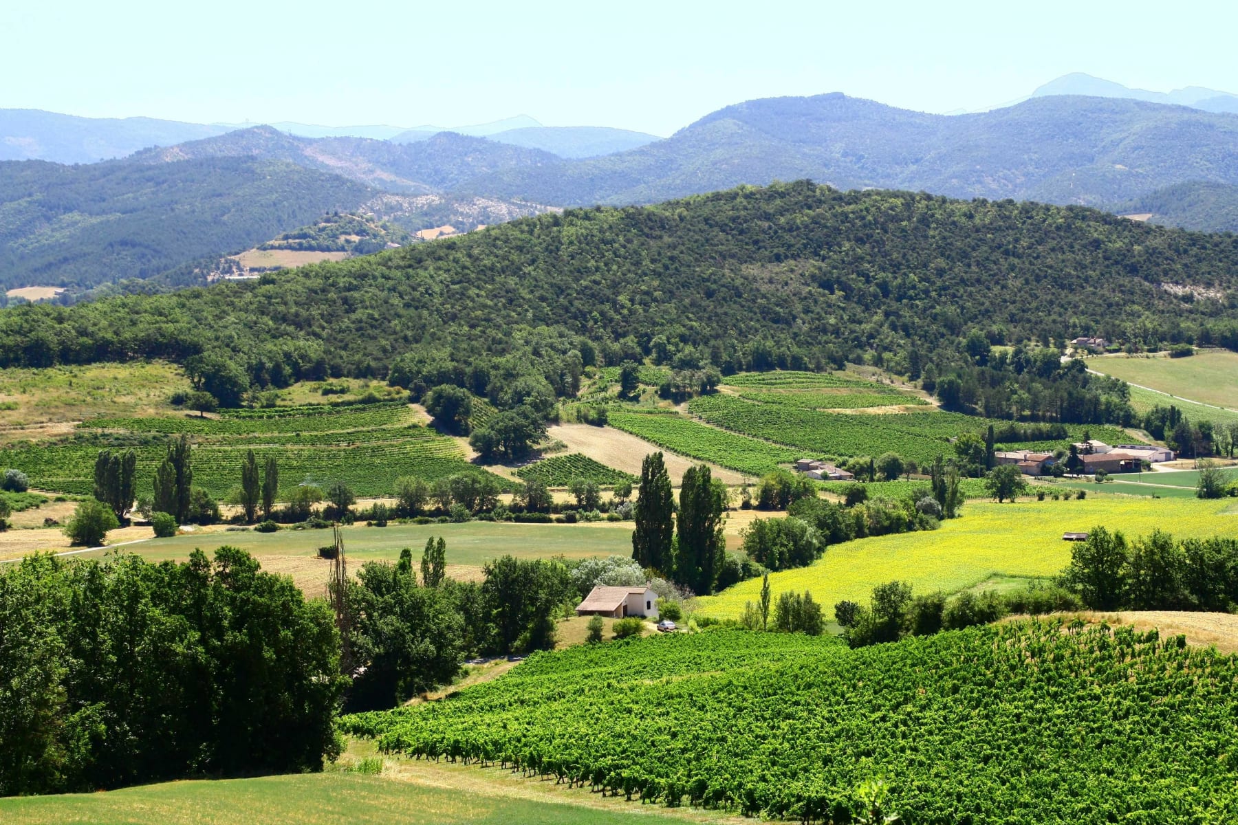 Randonnée Séderon - Ascension vivifiante à la montagne de Bergiès