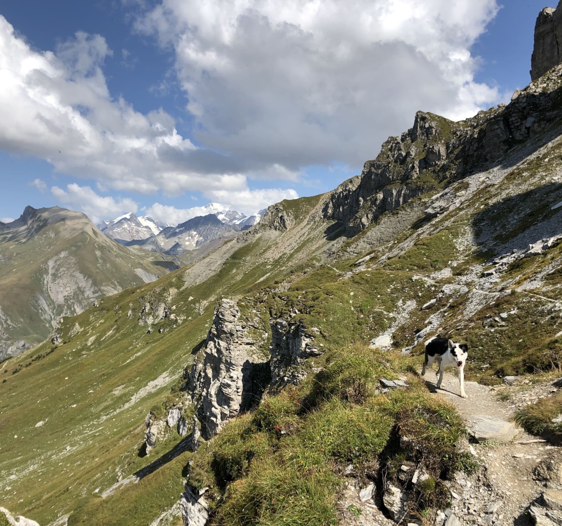 Randonnée Beaufort - Tour du Rocher du Vent et vues somptueuses