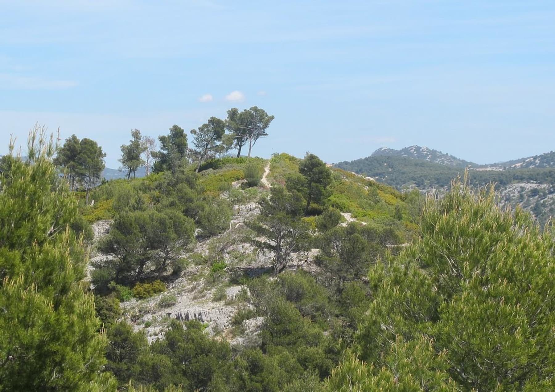 Randonnée Aubagne - Aubagne et évasion en père peinard au Télégraphe