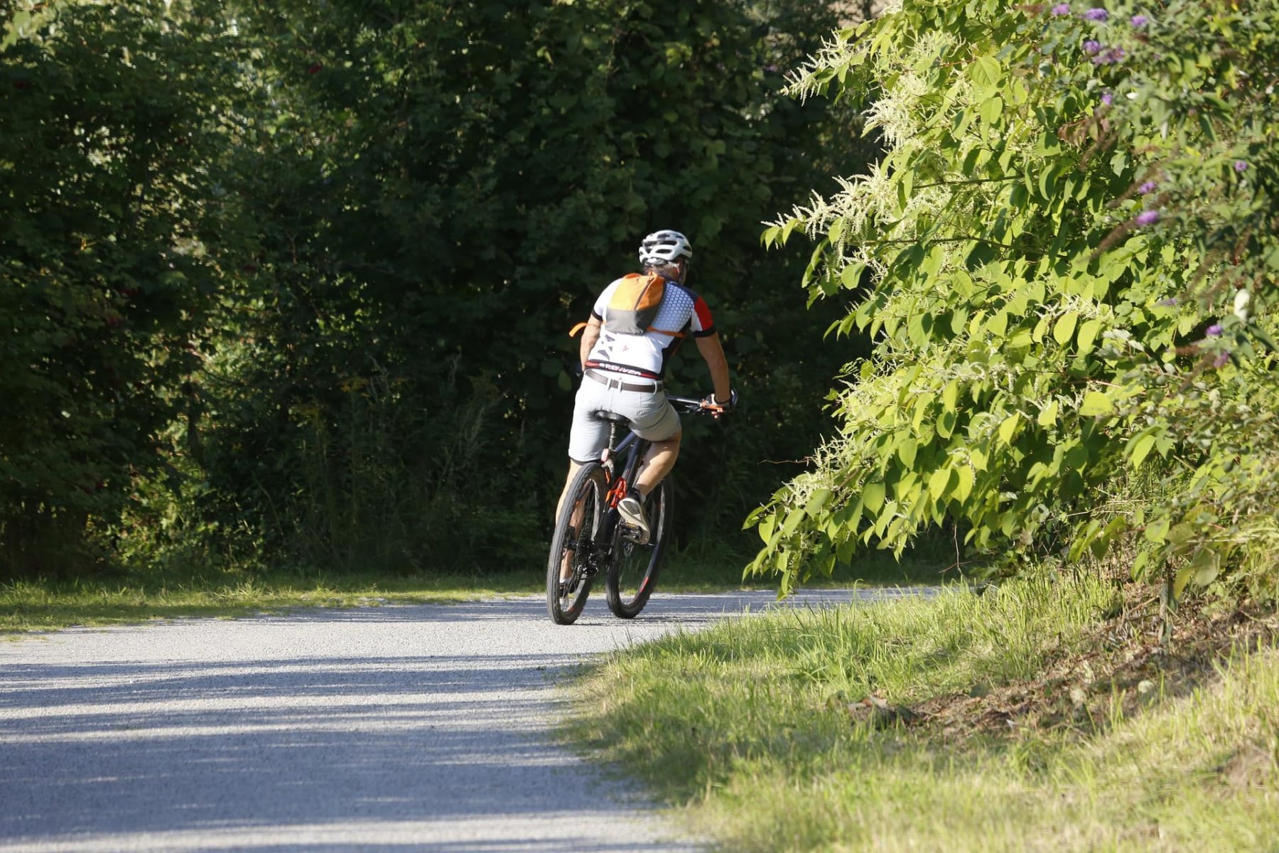 Randonnée Tourrettes - A vélo au milieu des villages provençaux