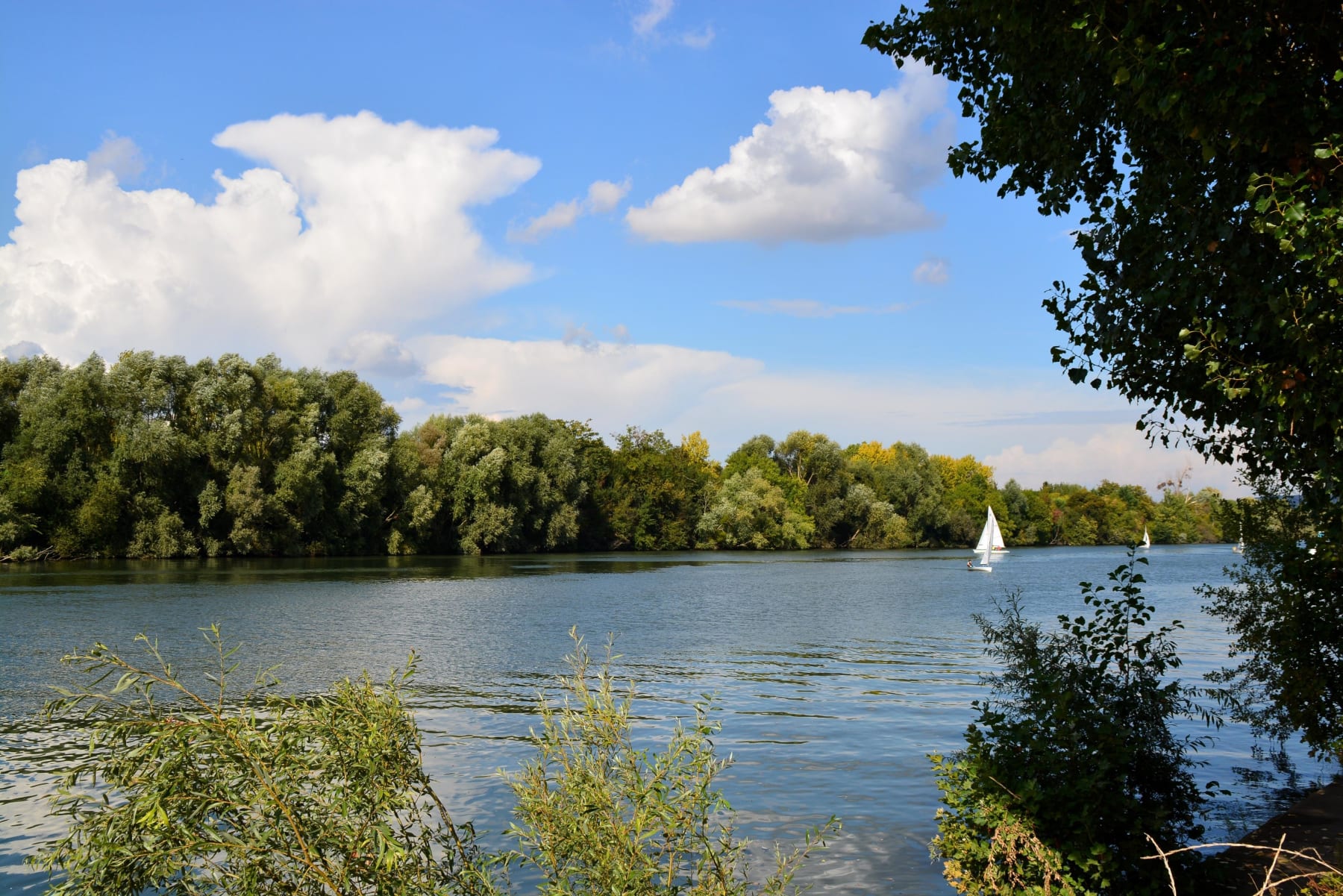 Randonnée Guernes - A Guernes, balade entre bois de la Garenne et bords de Seine