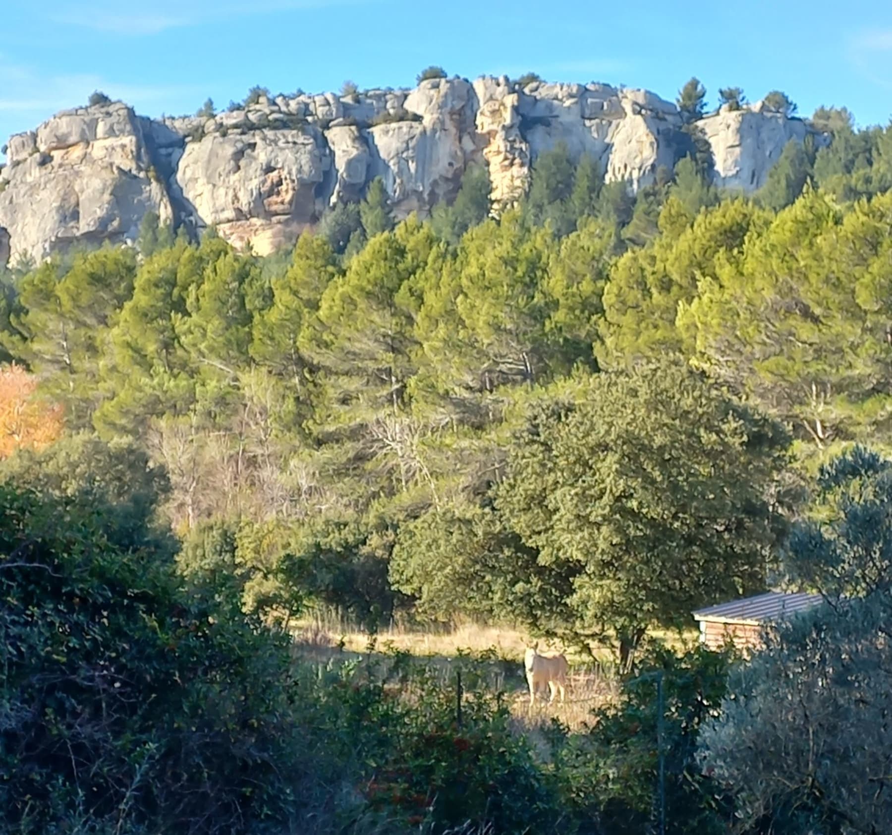 Randonnée Saint-Étienne-du-Grès - La chapelle Saint Peire