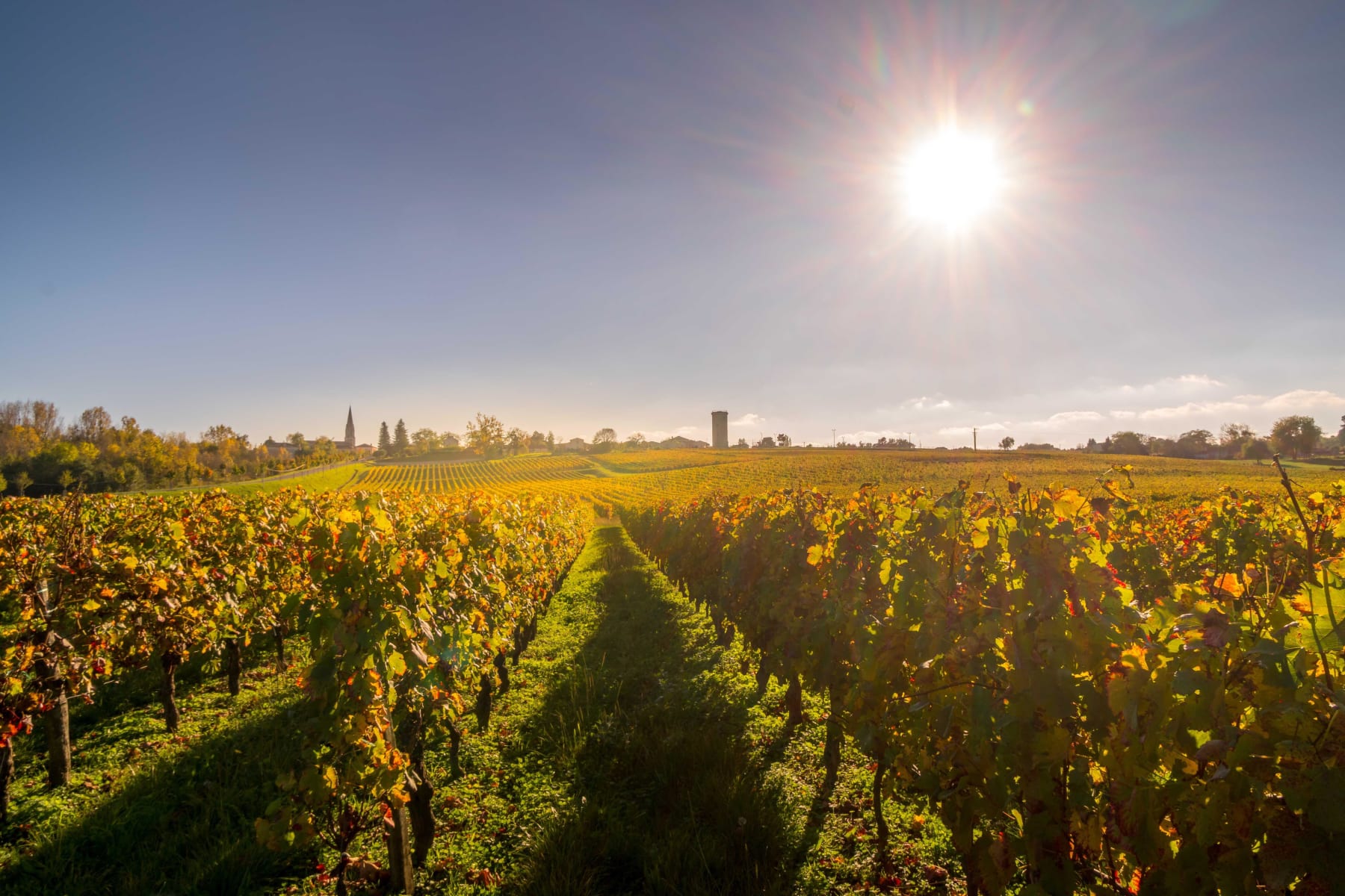 Randonnée Couquèques - Vignes de Couquèques et estuaire de la Gironde