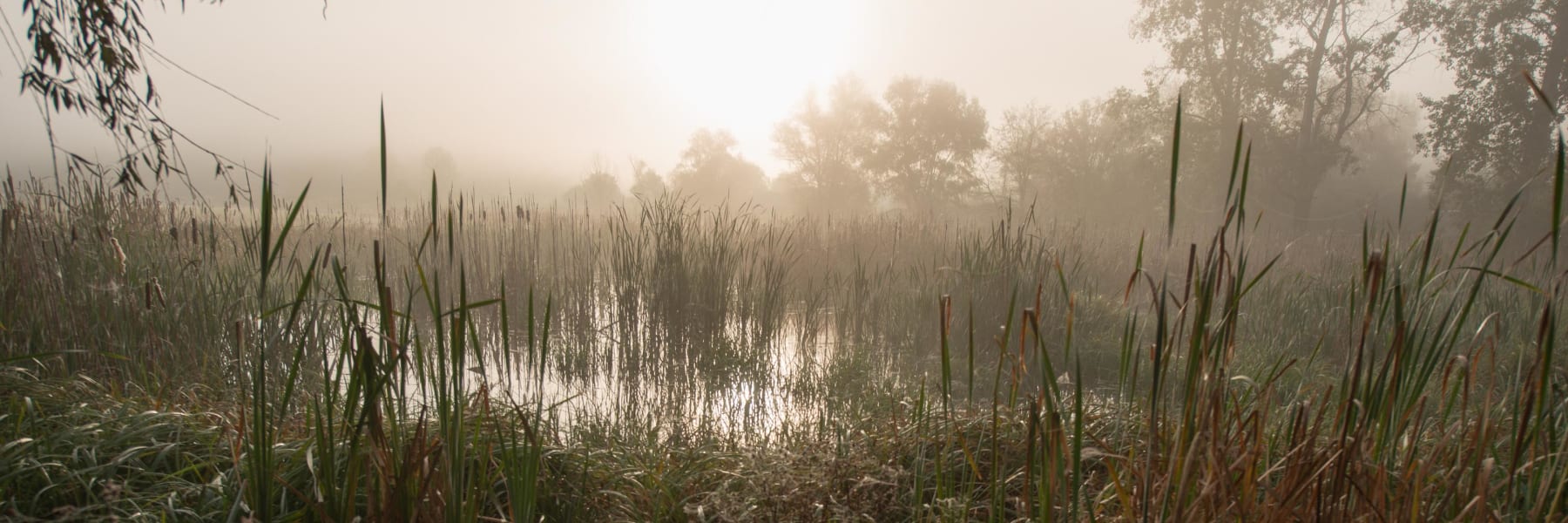 Randonnée Braud-et-Saint-Louis - Randonnée dans les marais du nord blayais