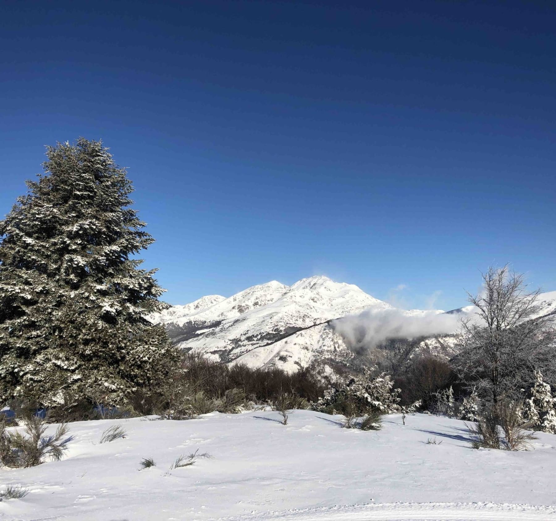 Randonnée Ignaux - Randonnée givrée au domaine nordique du Chioula