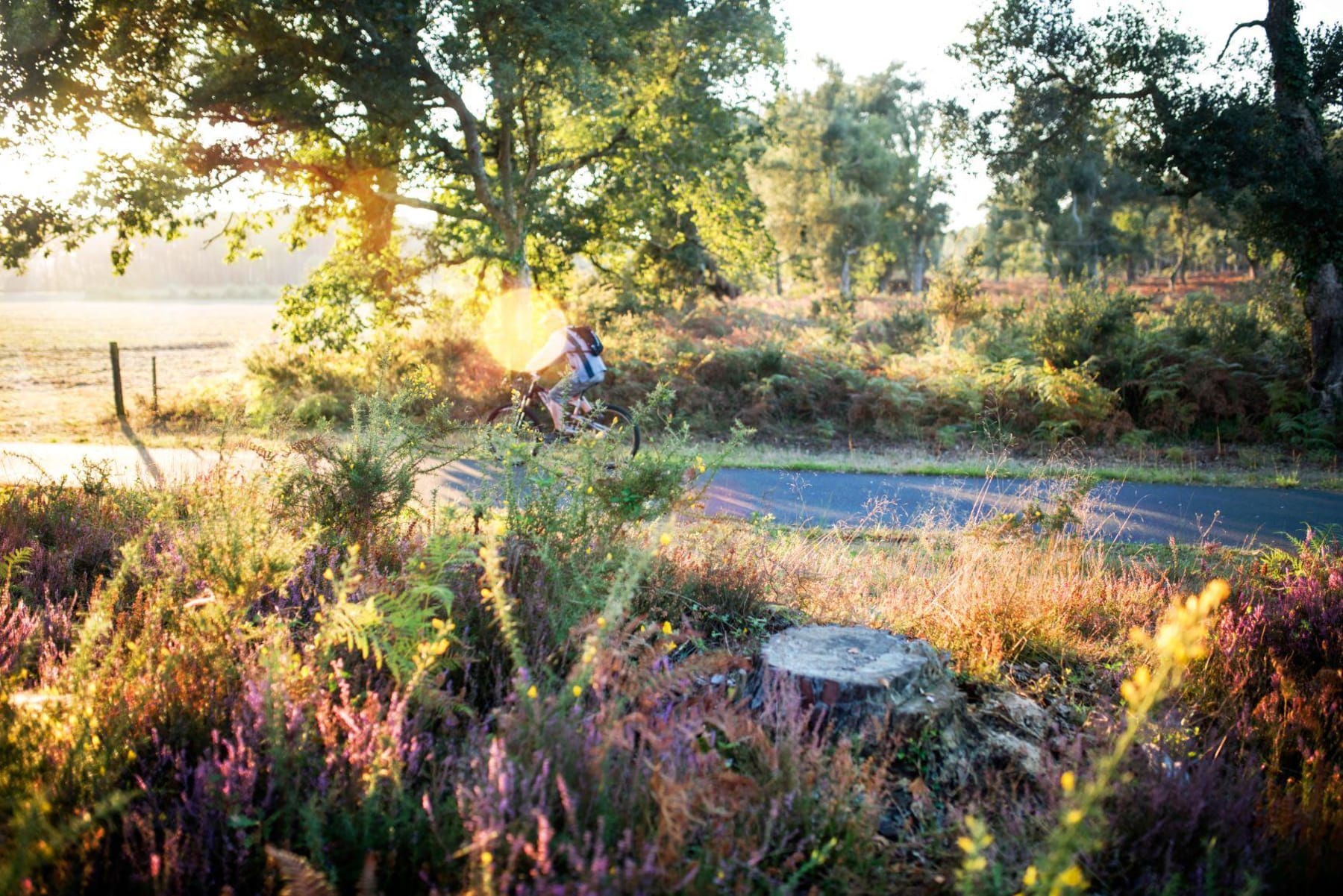 Randonnée Beaulon - Suivre les cailloux blancs en vélo