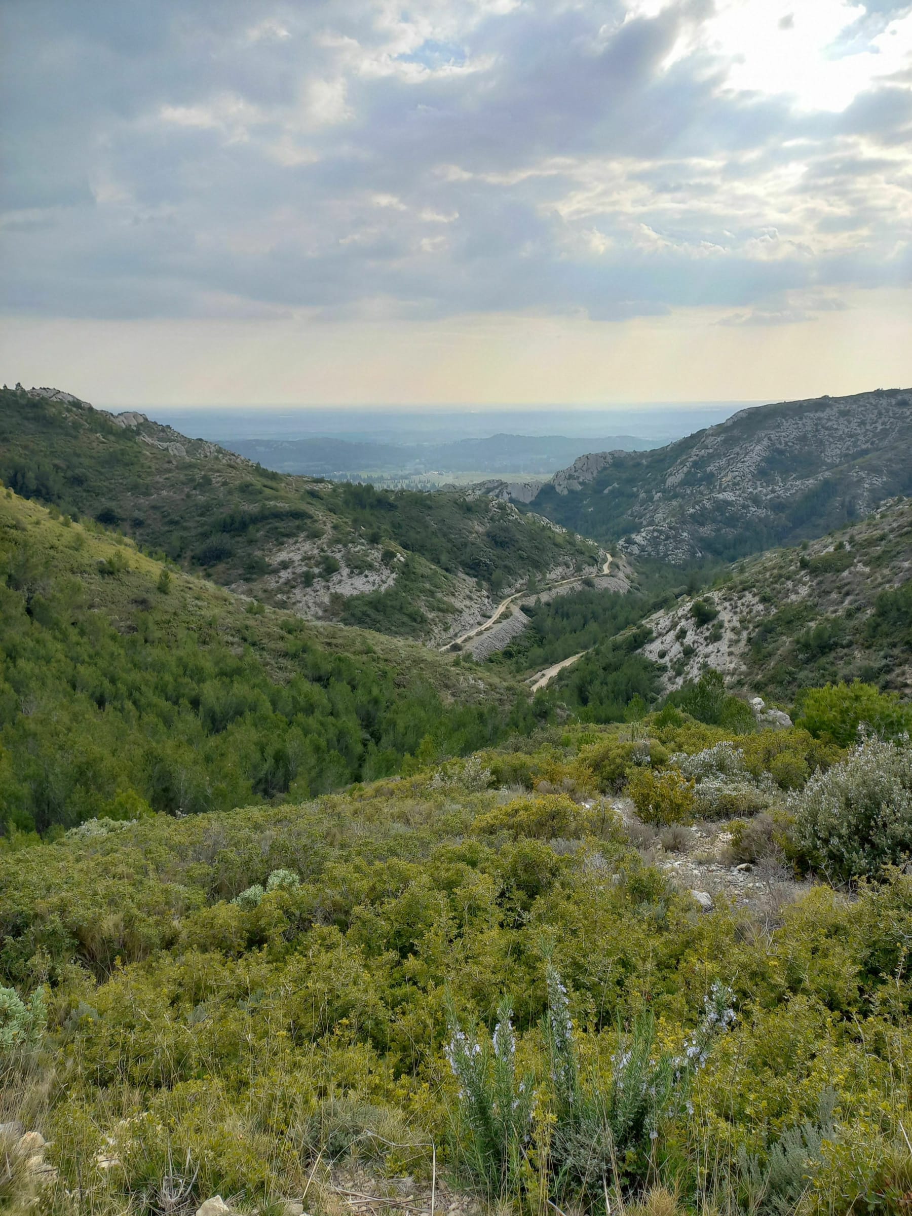 Randonnée Saint-Rémy-de-Provence - Le lac des Peirou