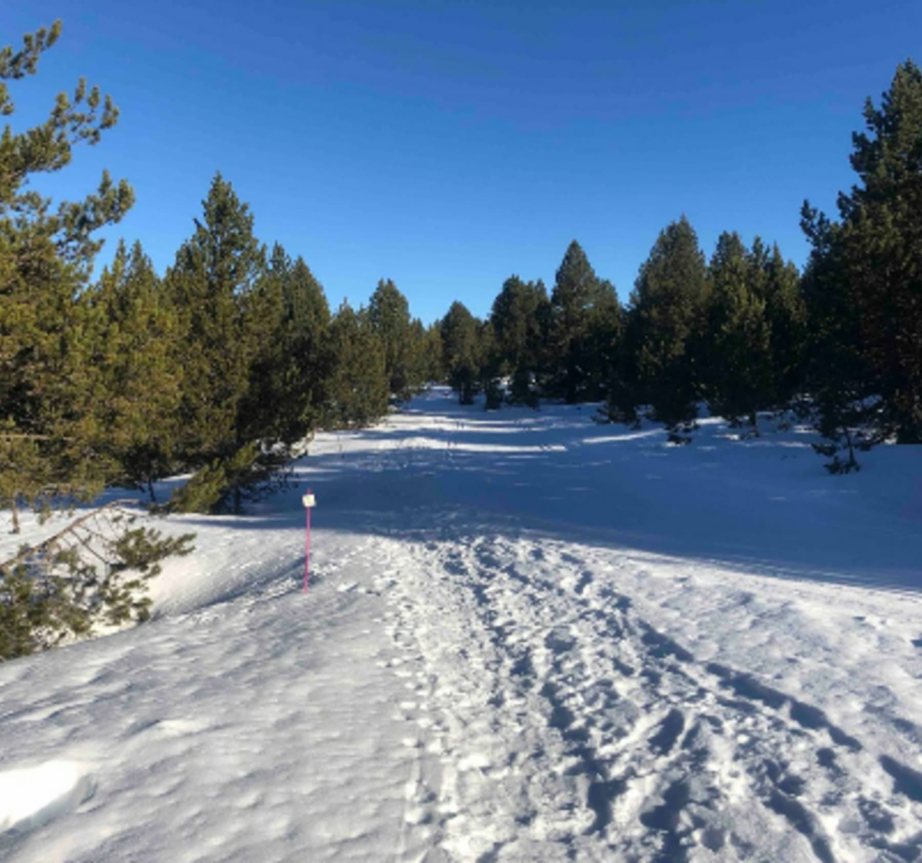 Randonnée Albiès - La Passejade et prise de hauteur jusqu'à l'Aparan