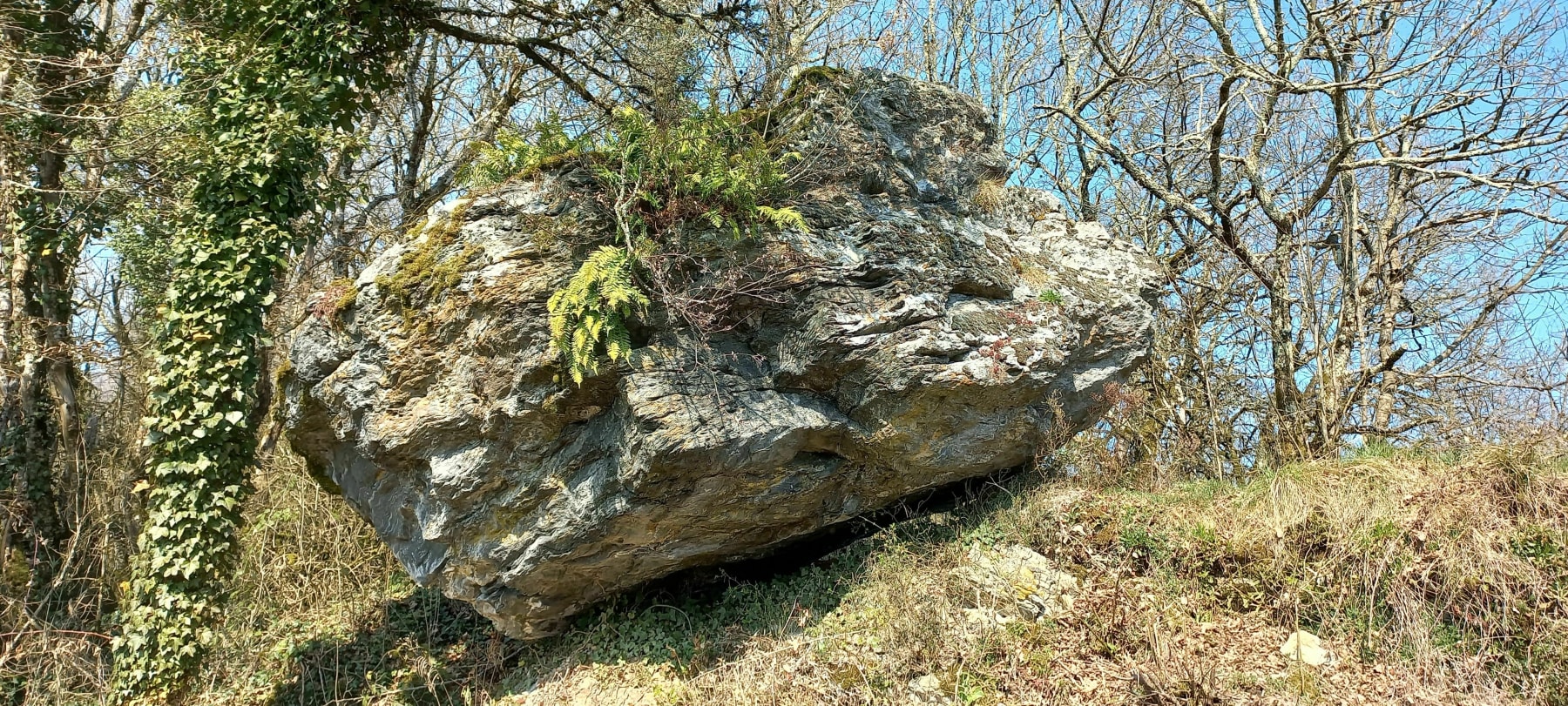 Randonnée Culoz - Ballade Pierre Levanaz et Château de Montvéran