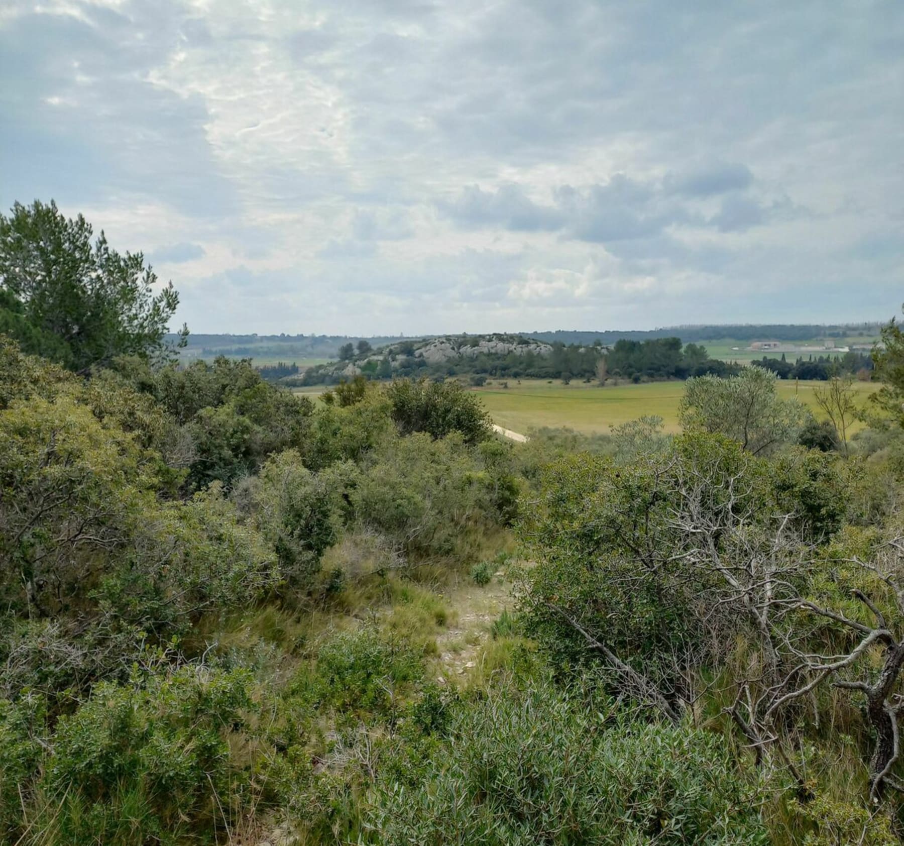 Randonnée Fontvieille - Forêt de Fontvieille