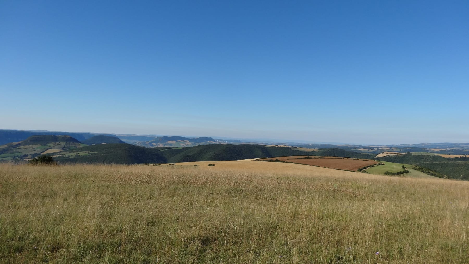 Randonnée Massegros Causses Gorges - Randonnée à la crête de l'Ancize et jolis monts du Causse