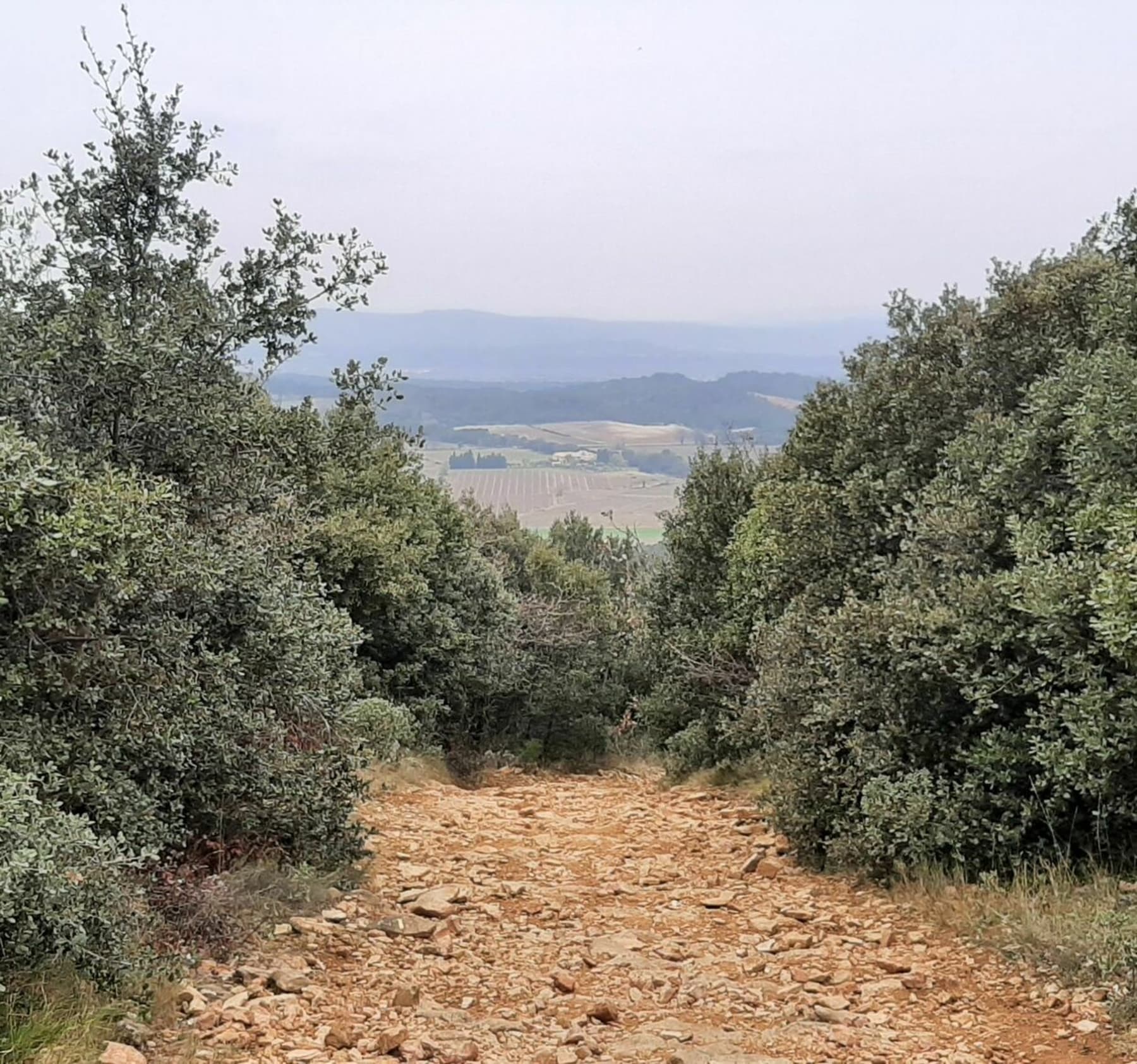 Randonnée Sérignan-du-Comtat - Massif d'Uchaux et le Castellas