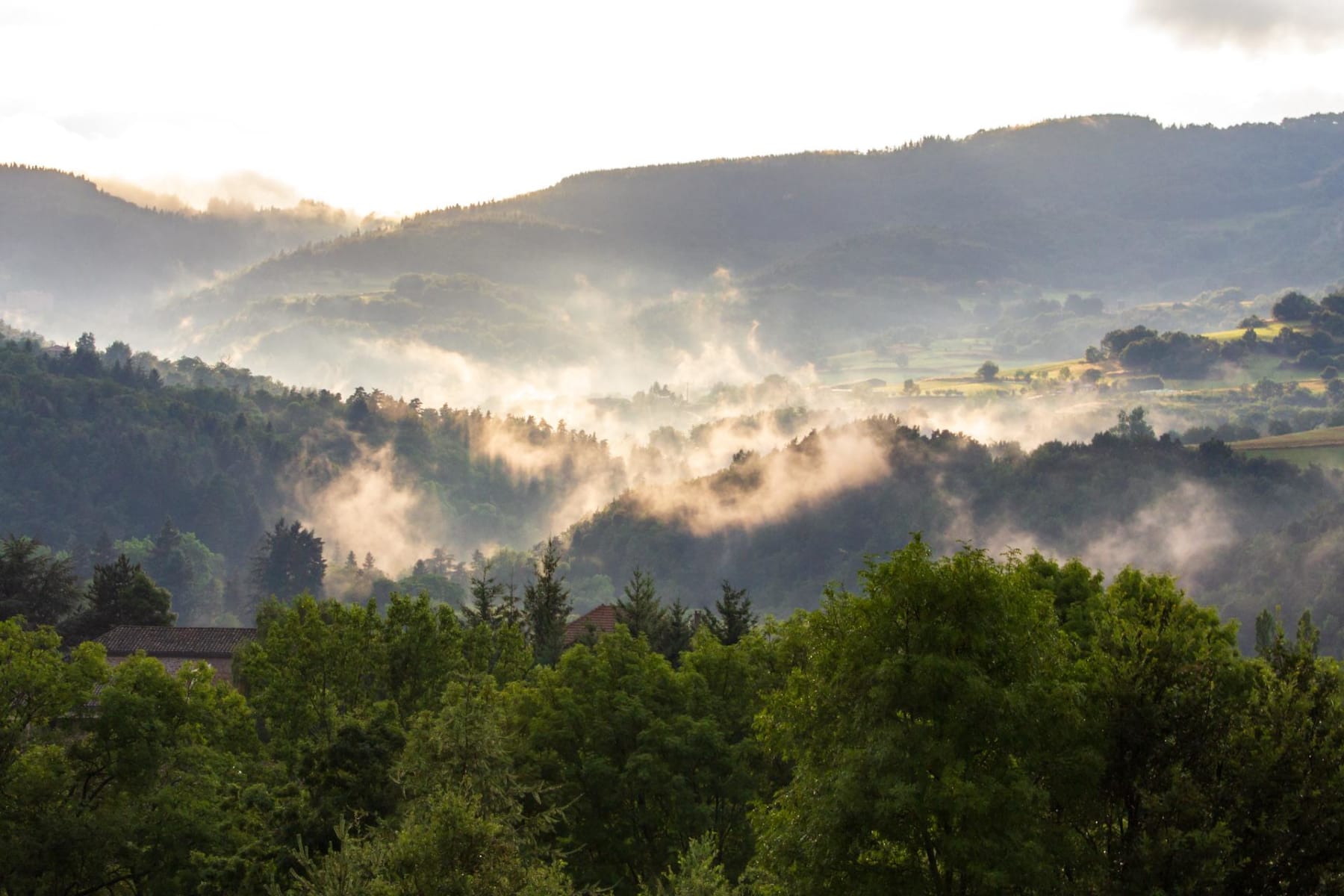 Randonnée Moissac-Vallée-Française - Crêtes des Cévennes et intense forêt à pied