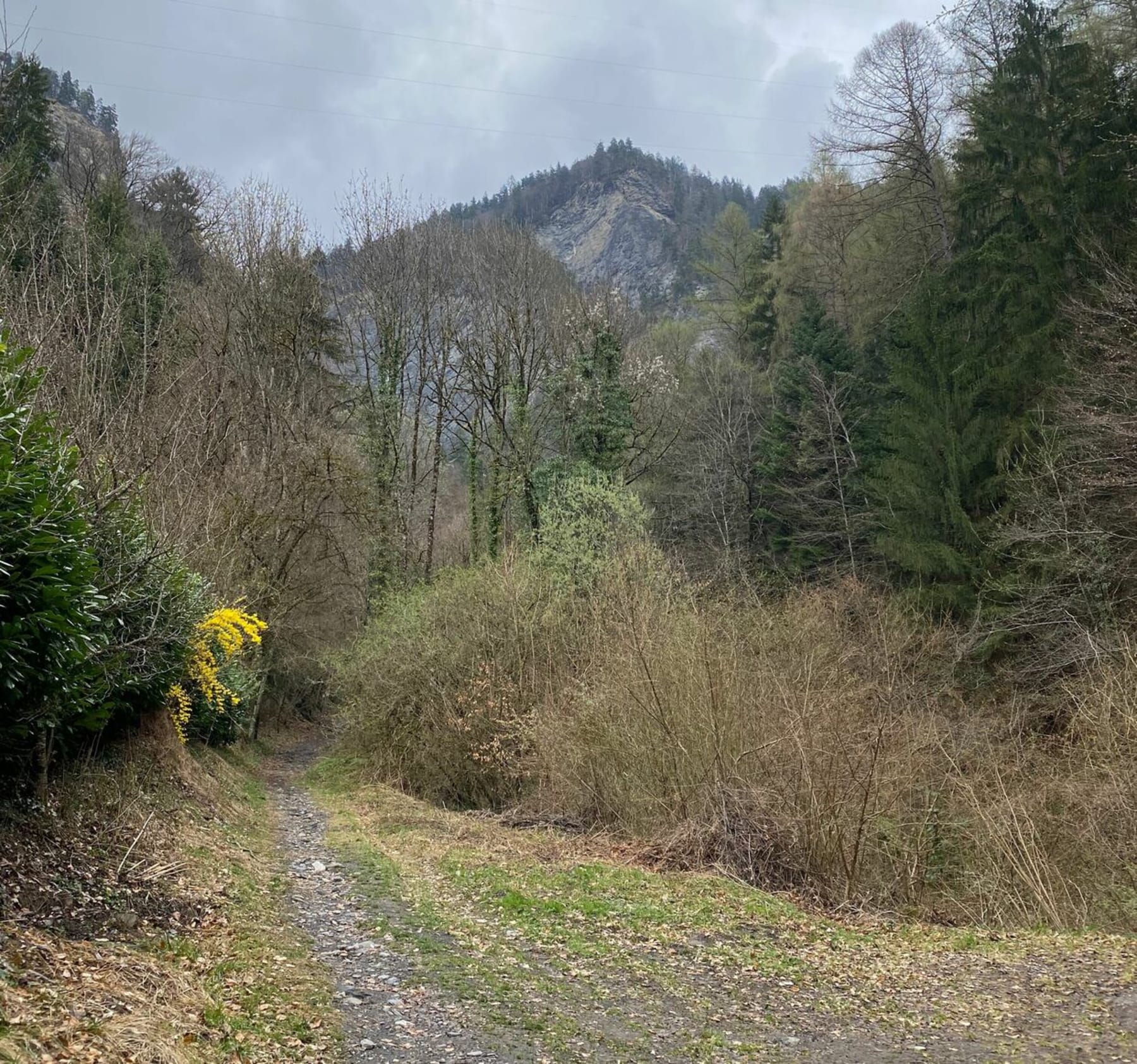 Randonnée Sallanches - Saint Martin - Le Môt