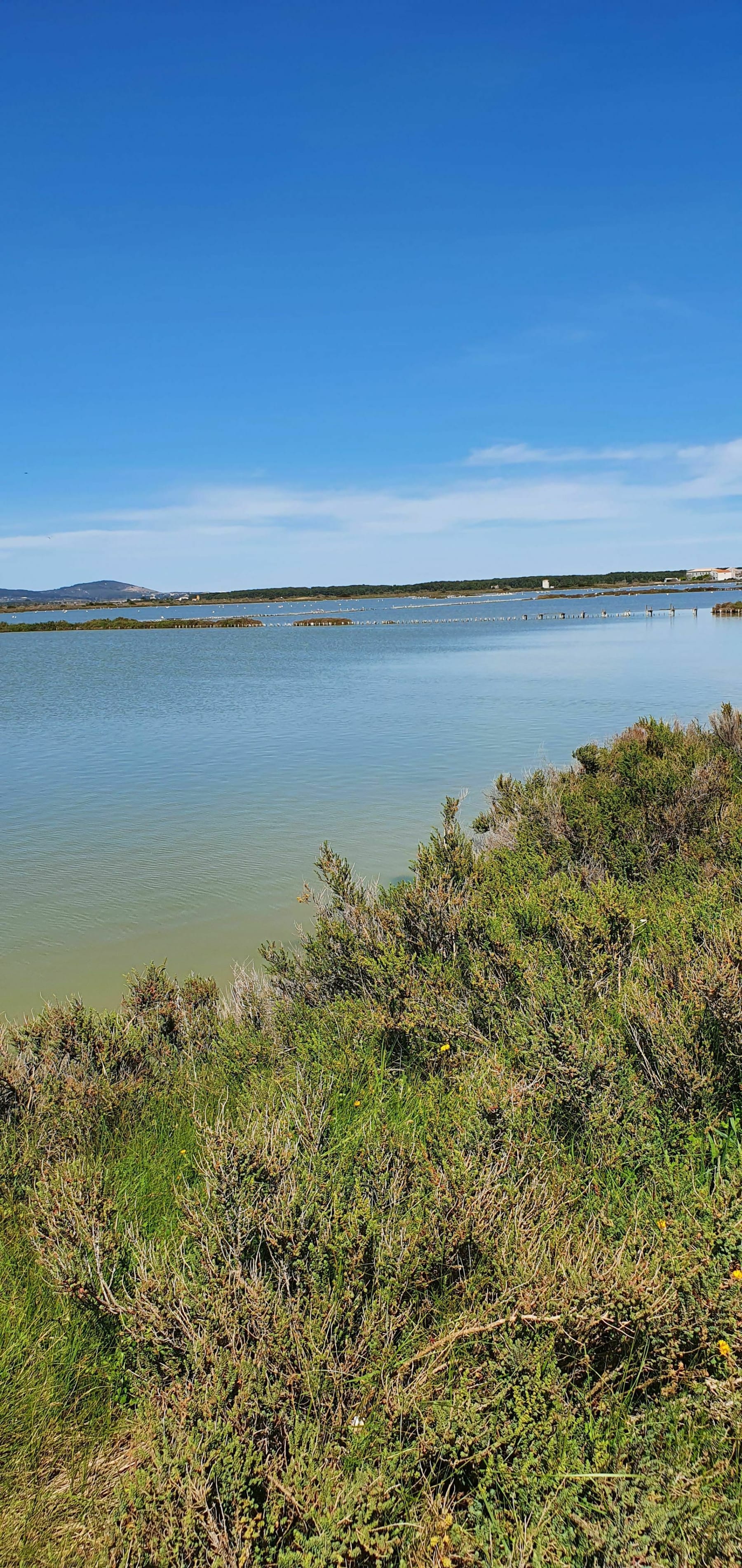 Randonnée Frontignan - Les salins de Frontignan