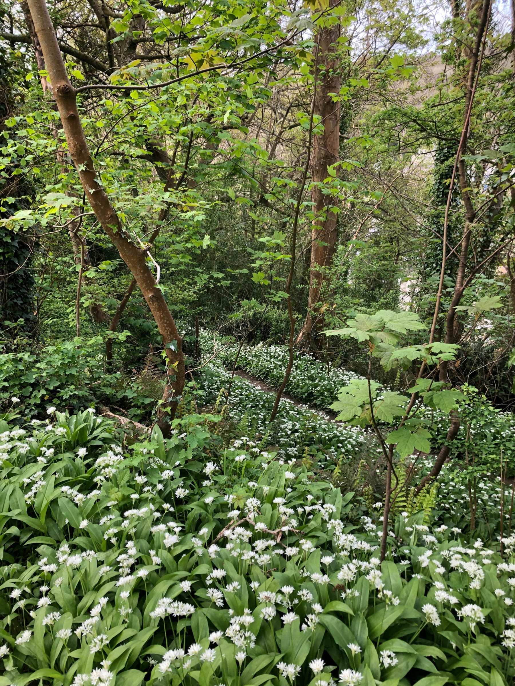 Randonnée La Glacerie - Eco-vallée de Crevecoeur-La Glacerie