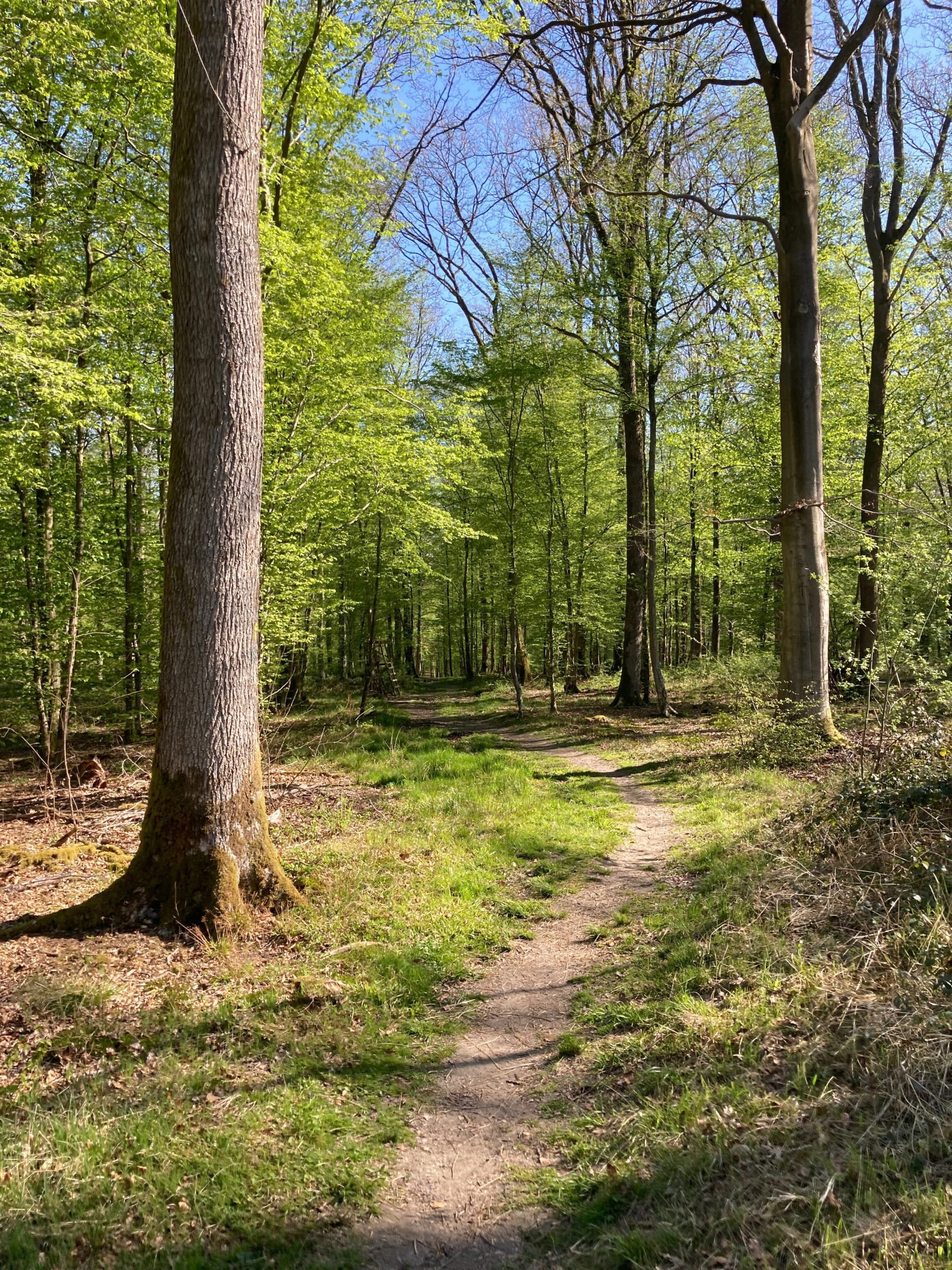 Randonnée Aulnoye-Aymeries - Promenade autour du Coucou