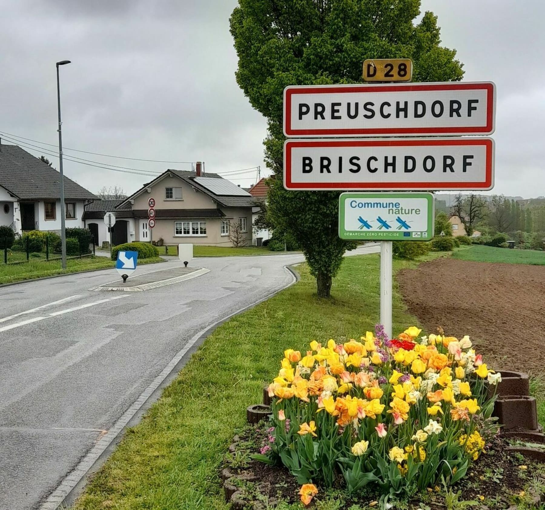 Randonnée Preuschdorf - Preuschdorf /Dieffenbach-lès-Woerth