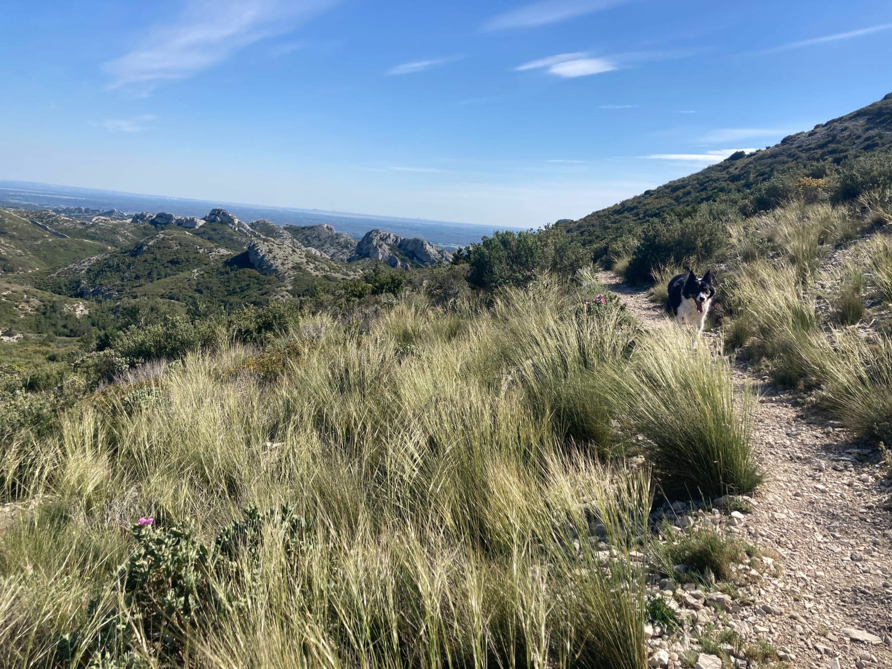 Randonnée Maussane-les-Alpilles - Les Trincades et le Lagon bleu de Maussane-les-Alpilles