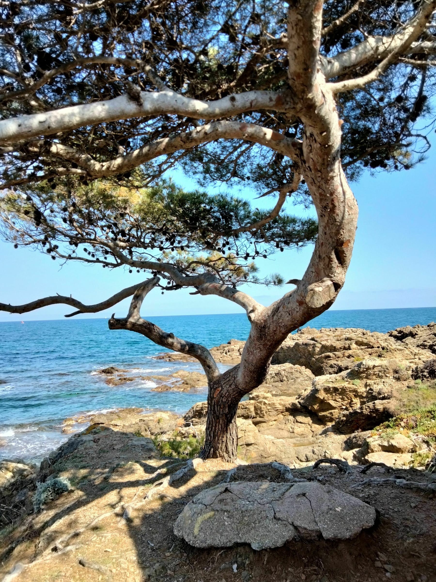 Randonnée Fréjus - Chemin des douaniers - St Aygulf