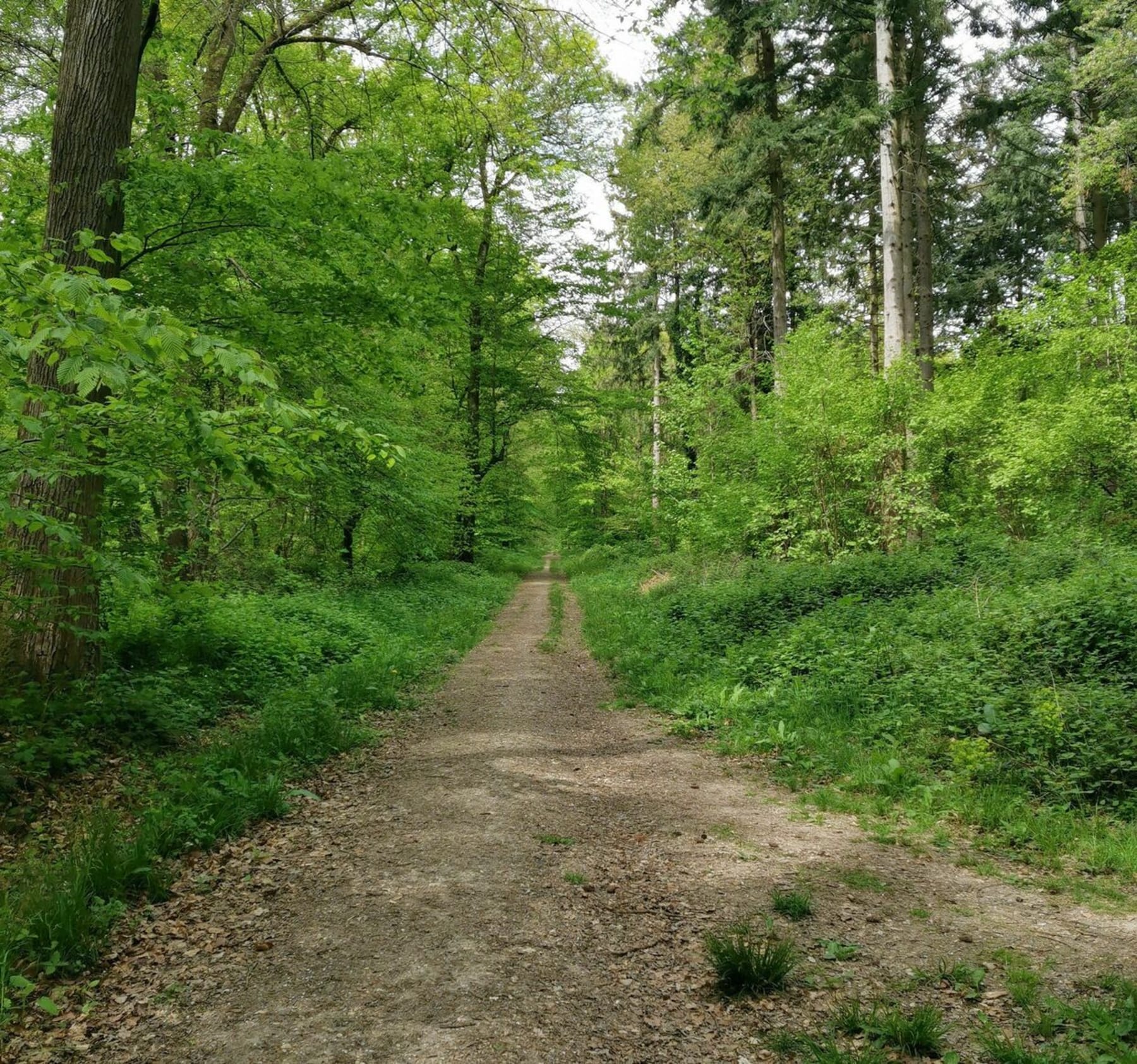 Randonnée Beauvais - Sortie VTT dans les bois et plan d'eau du Canada de Beauvais