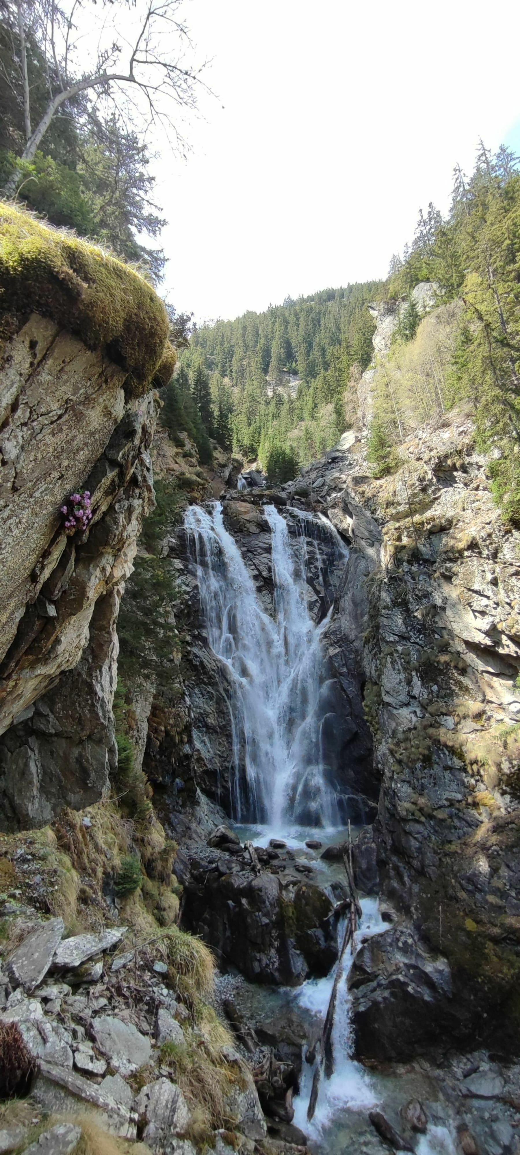 Randonnée Saint-Christophe-en-Oisans - Cascade de la Lavey et cascade de la Mariande