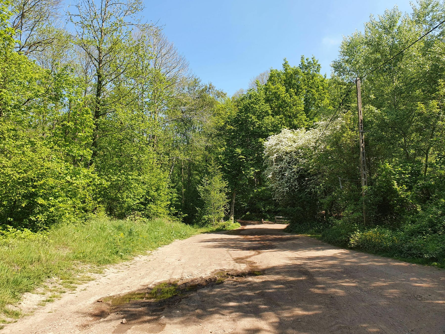 Randonnée Bruay la Buissière - Balade au bois des Dames