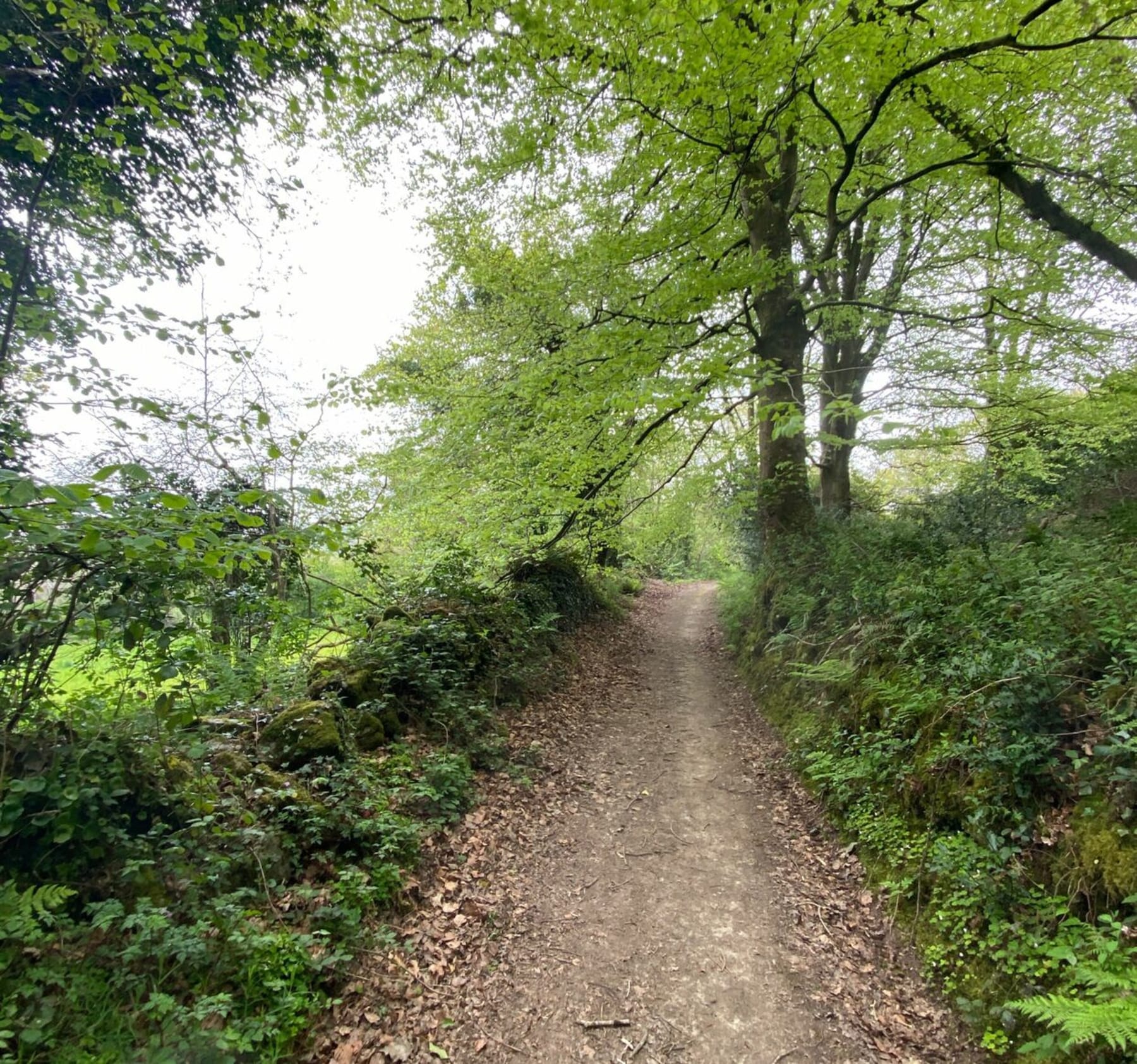 Randonnée Le Vicel - Belle balade autour du Vicel