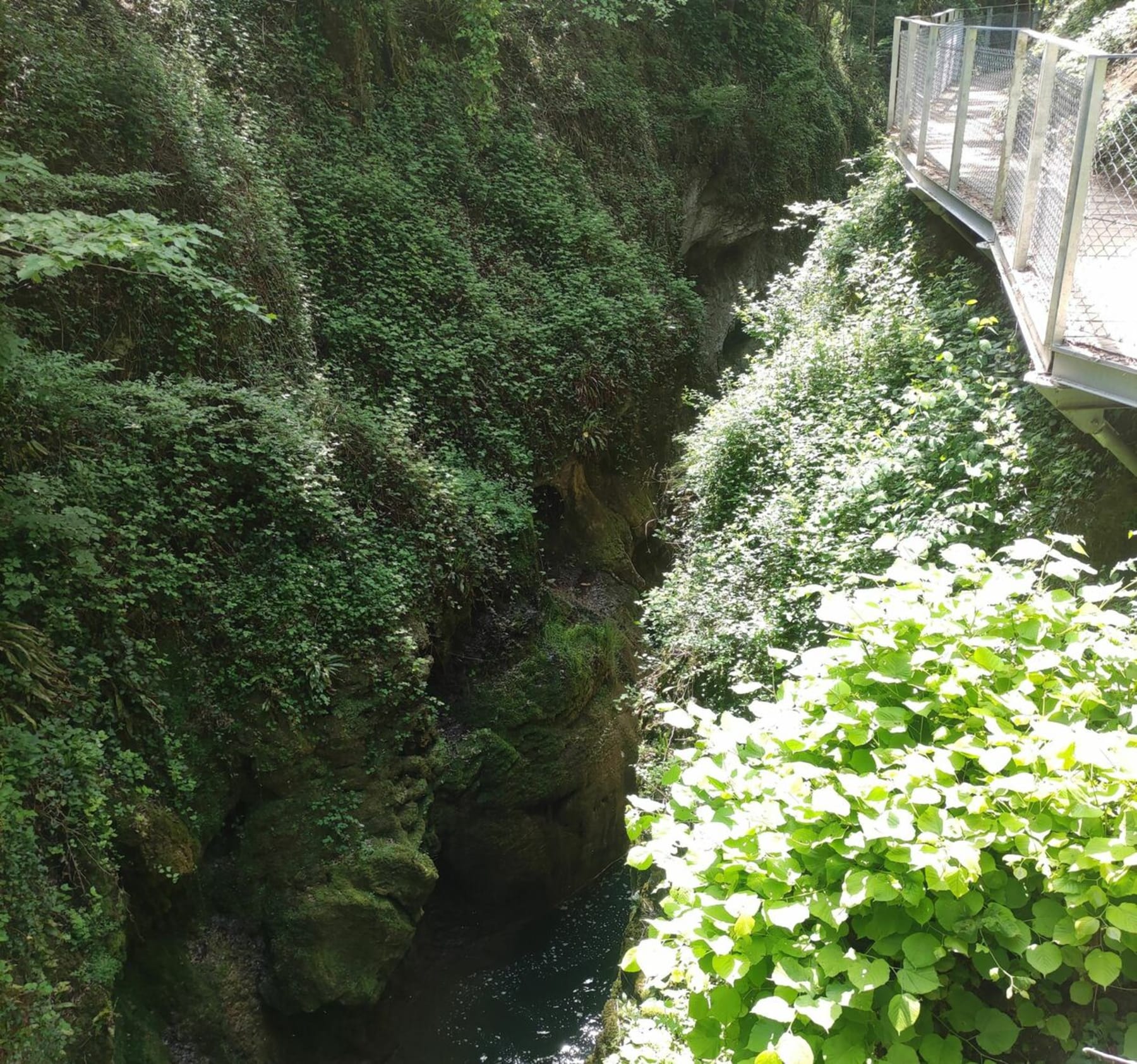 Randonnée Grésy-sur-Aix - Petite balade dans les gorges du Sierroz