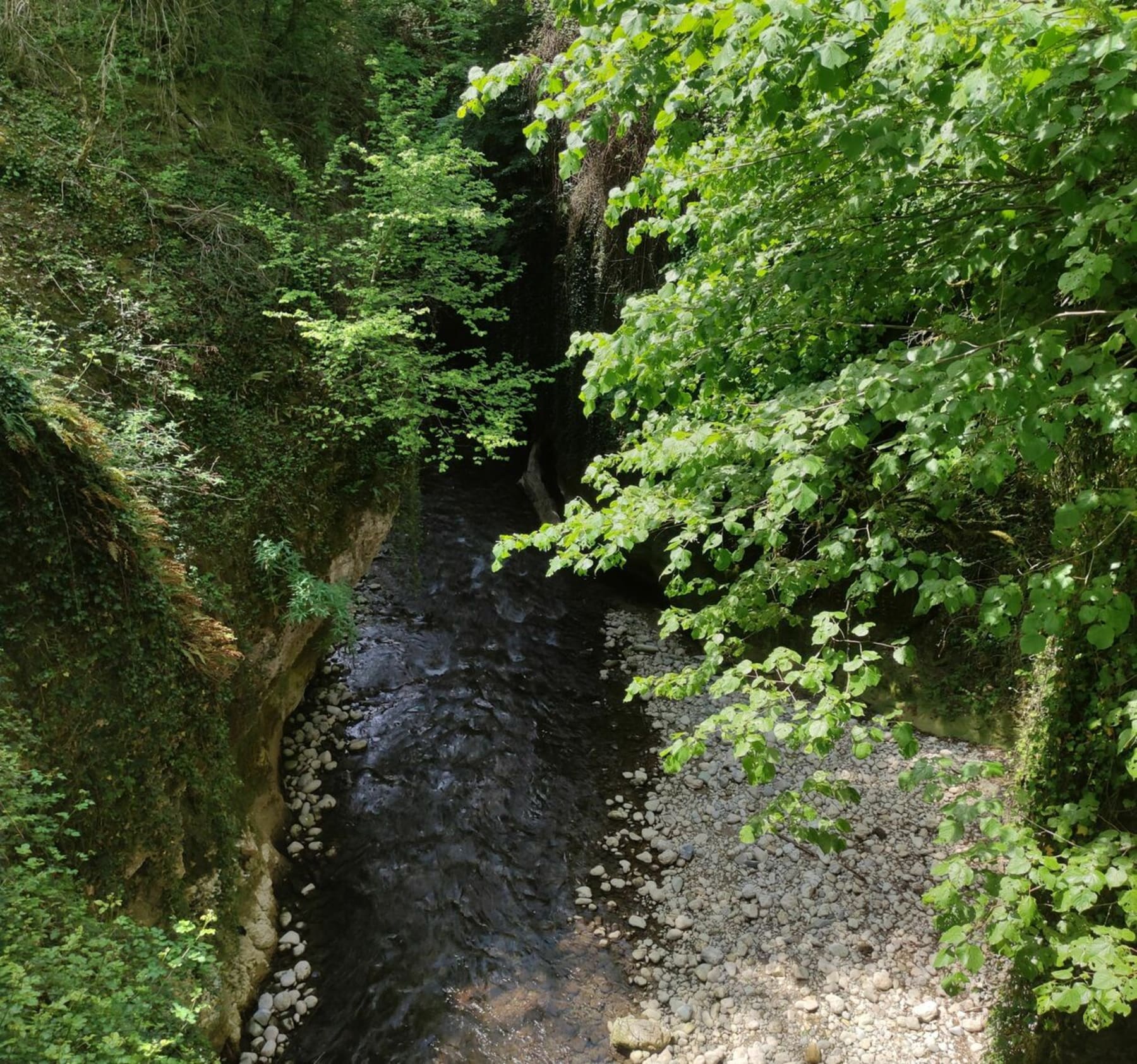 Randonnée Grésy-sur-Aix - Petite balade dans les gorges du Sierroz