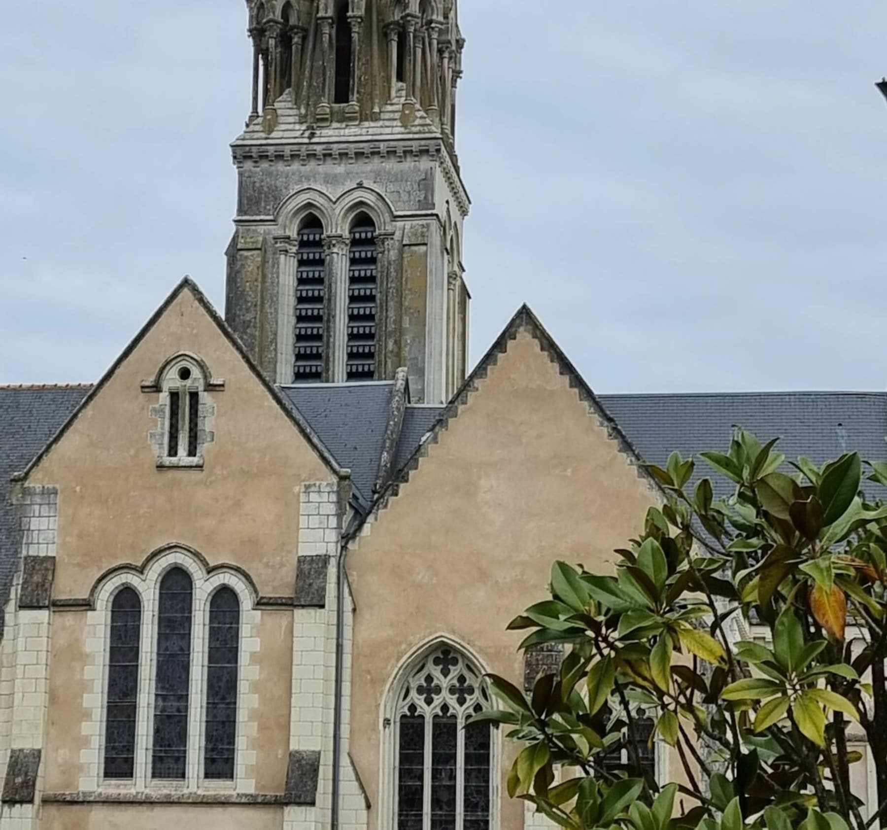 Randonnée Morannes sur Sarthe-Daumeray - D'église à église en longeant le bord de Sarthe