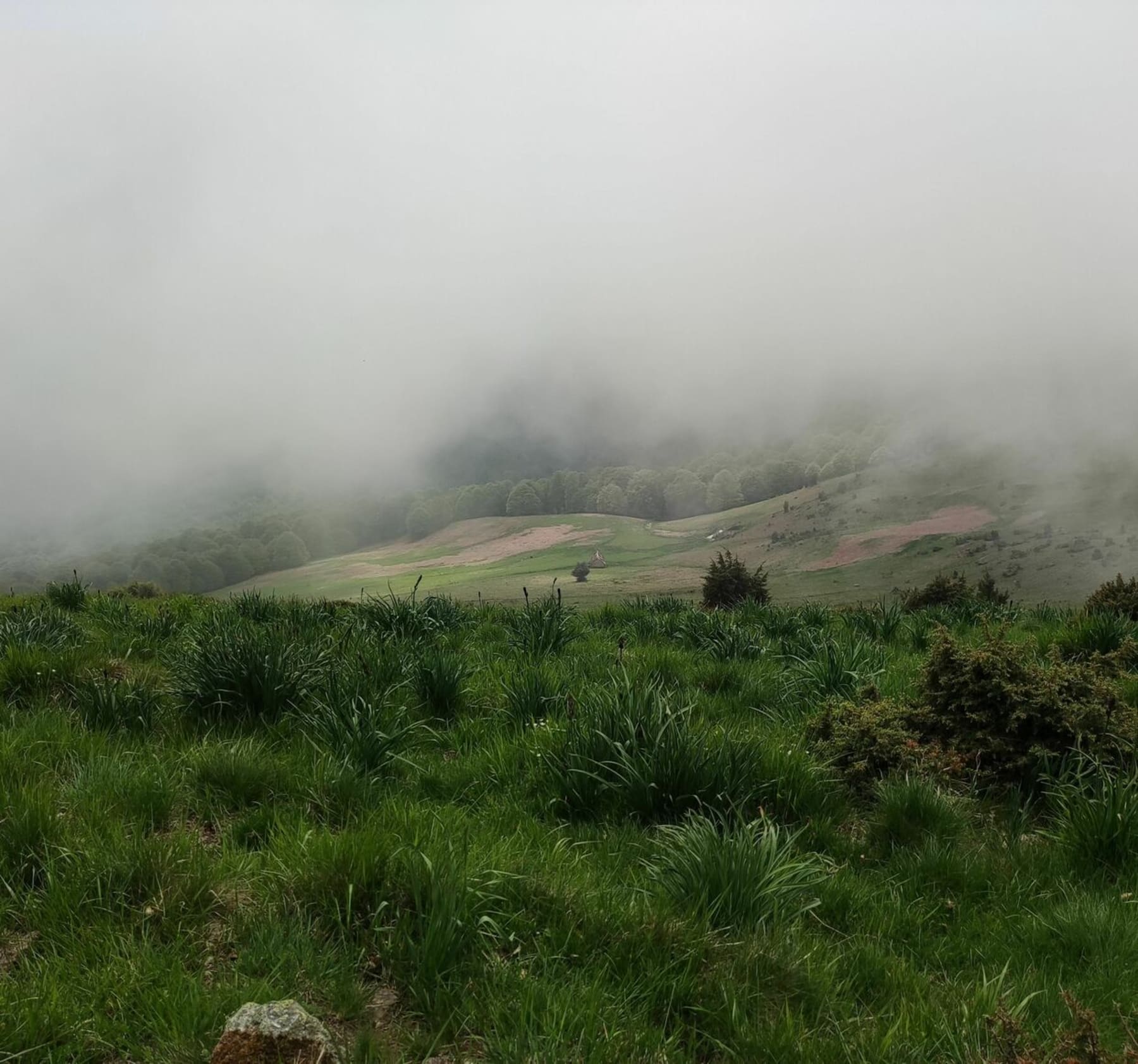 Randonnée Sost - Boucle sur les crêtes du Cap de Pouy de Hourmigue