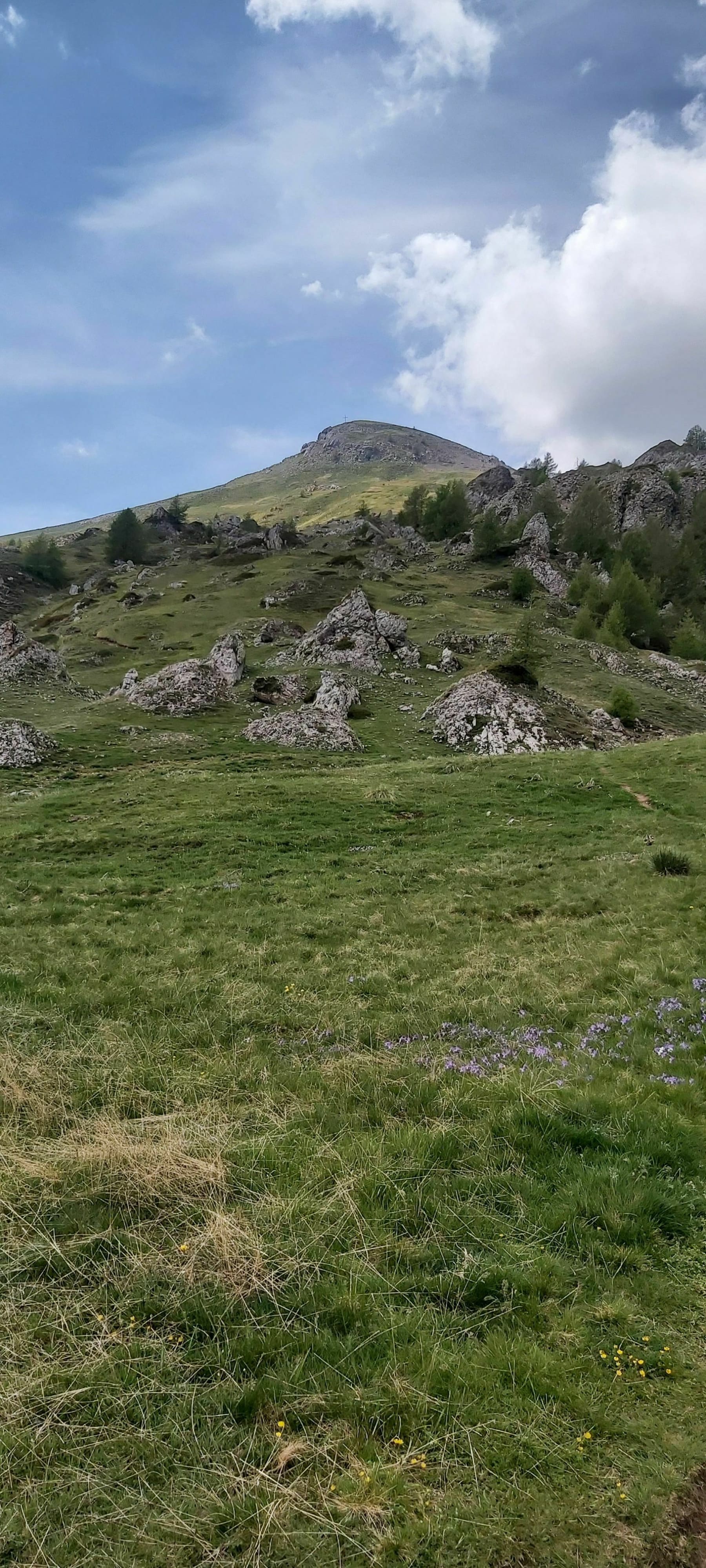 Randonnée Saint-Jean-Saint-Nicolas - Ascension au Palastre au milieu des fleurs.