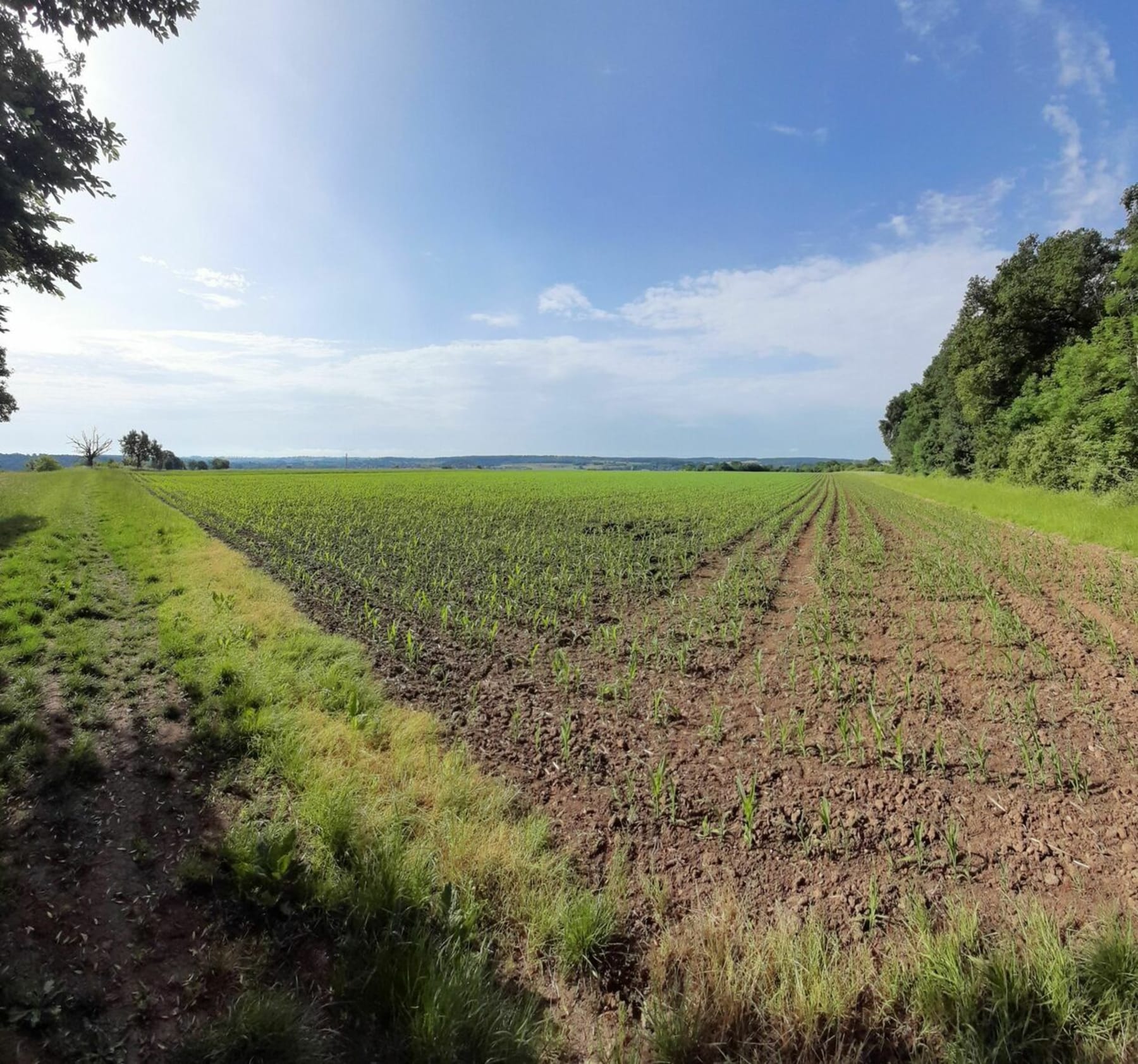 Randonnée Preuschdorf - PETITS SENTIERS ENTRE PREUSCHDORF ET LAMPERTSLOCH